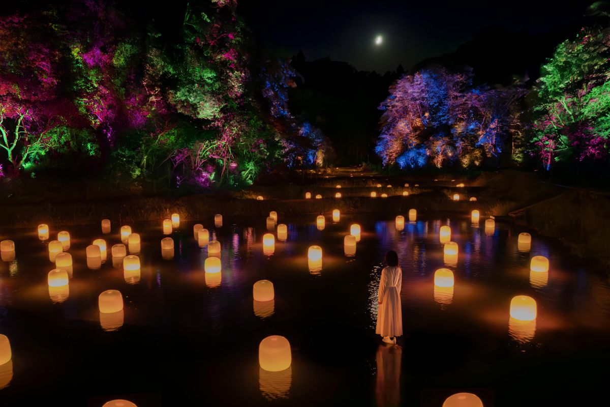Hidden Traces of Rice Terraces | teamLab