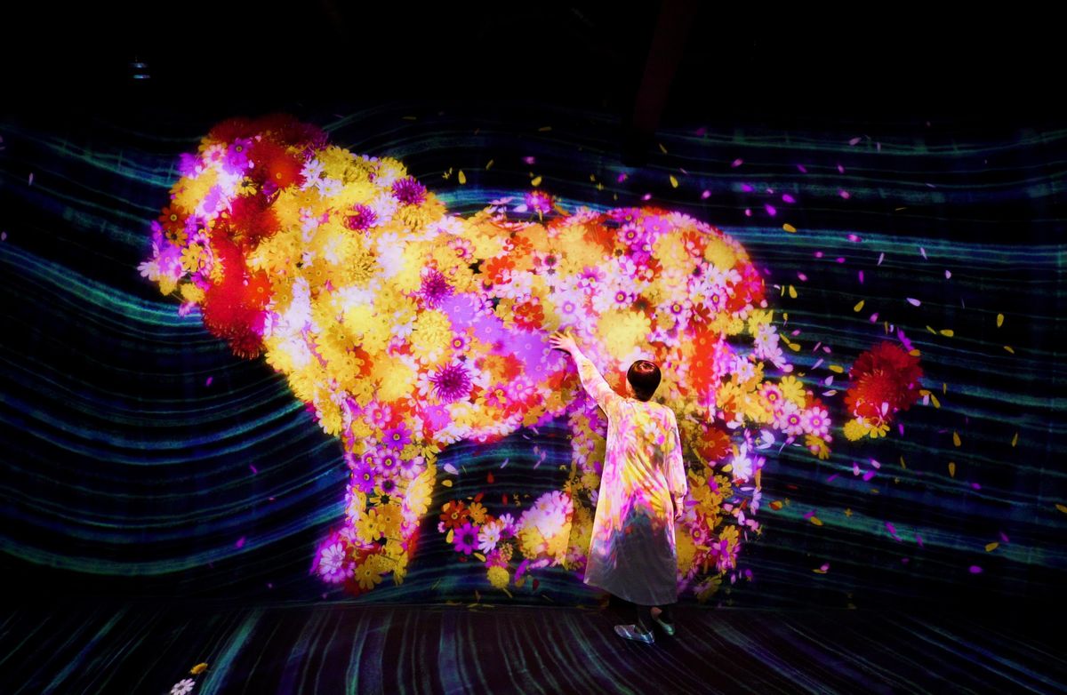 与花共生的动物们 / Animals of Flowers, Symbiotic Lives | teamLab