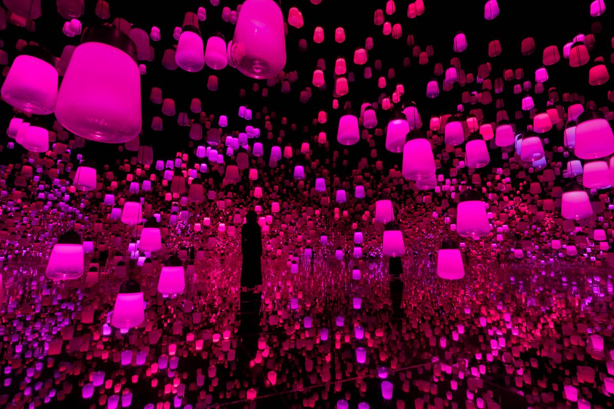 Forest of Resonating Lamps: One Stroke - Summer Flowers | teamLab