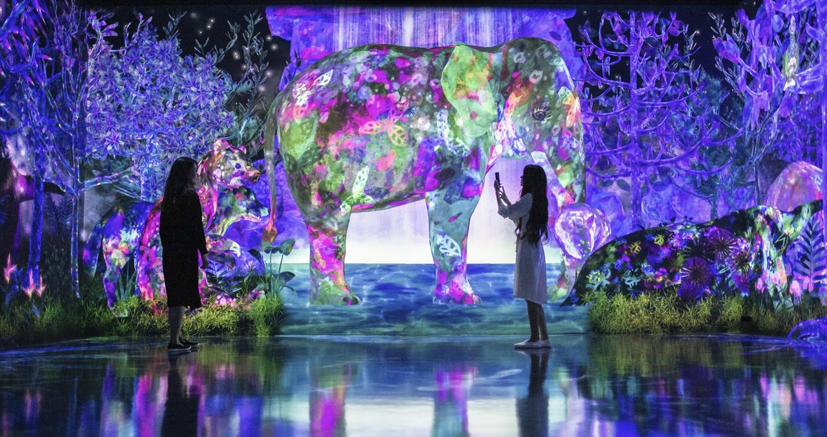 In photos: see the new teamLab exhibition opening in Fukuoka this month ...