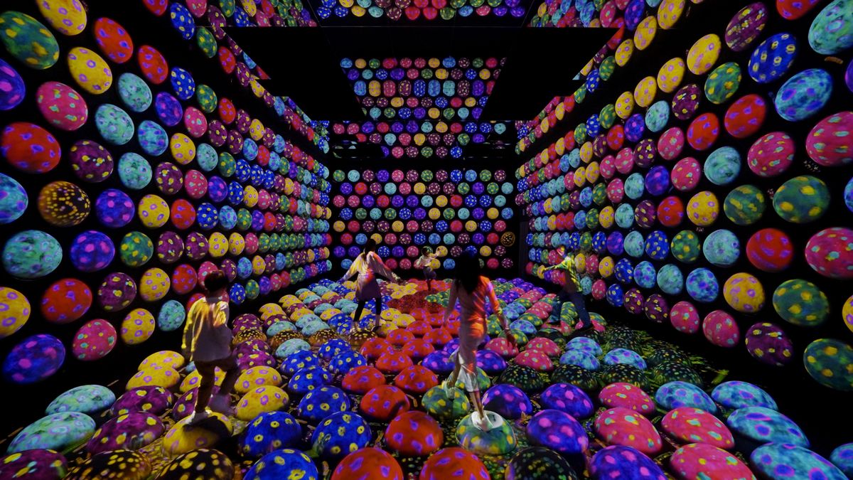 Rapidly Rotating Bouncing Spheres in the Caterpillar House | teamLab