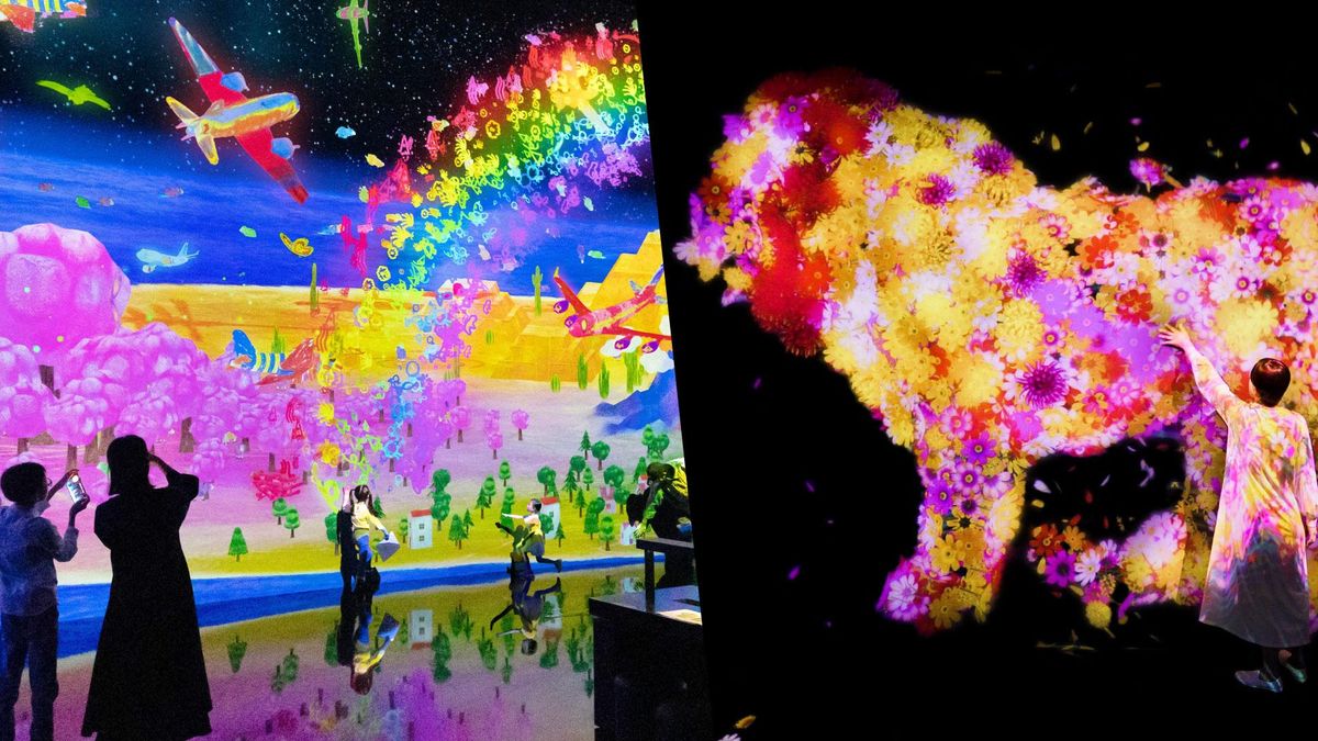 teamLab Future Park and Animals of Flowers, Symbiotic Live | teamLab 未来的游乐园