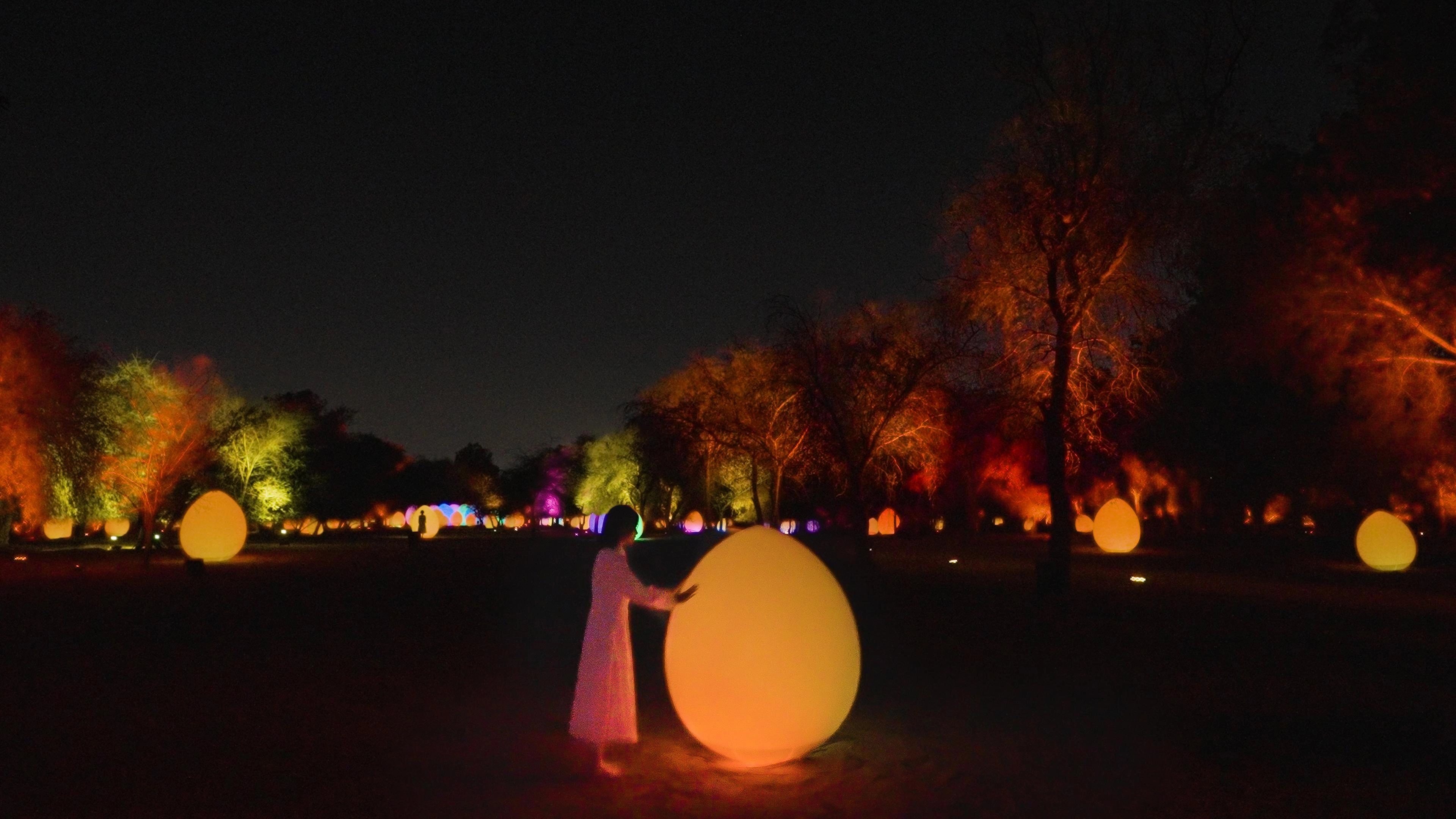 teamLab: Mangrove Island at Manar Abu Dhabi | teamLab