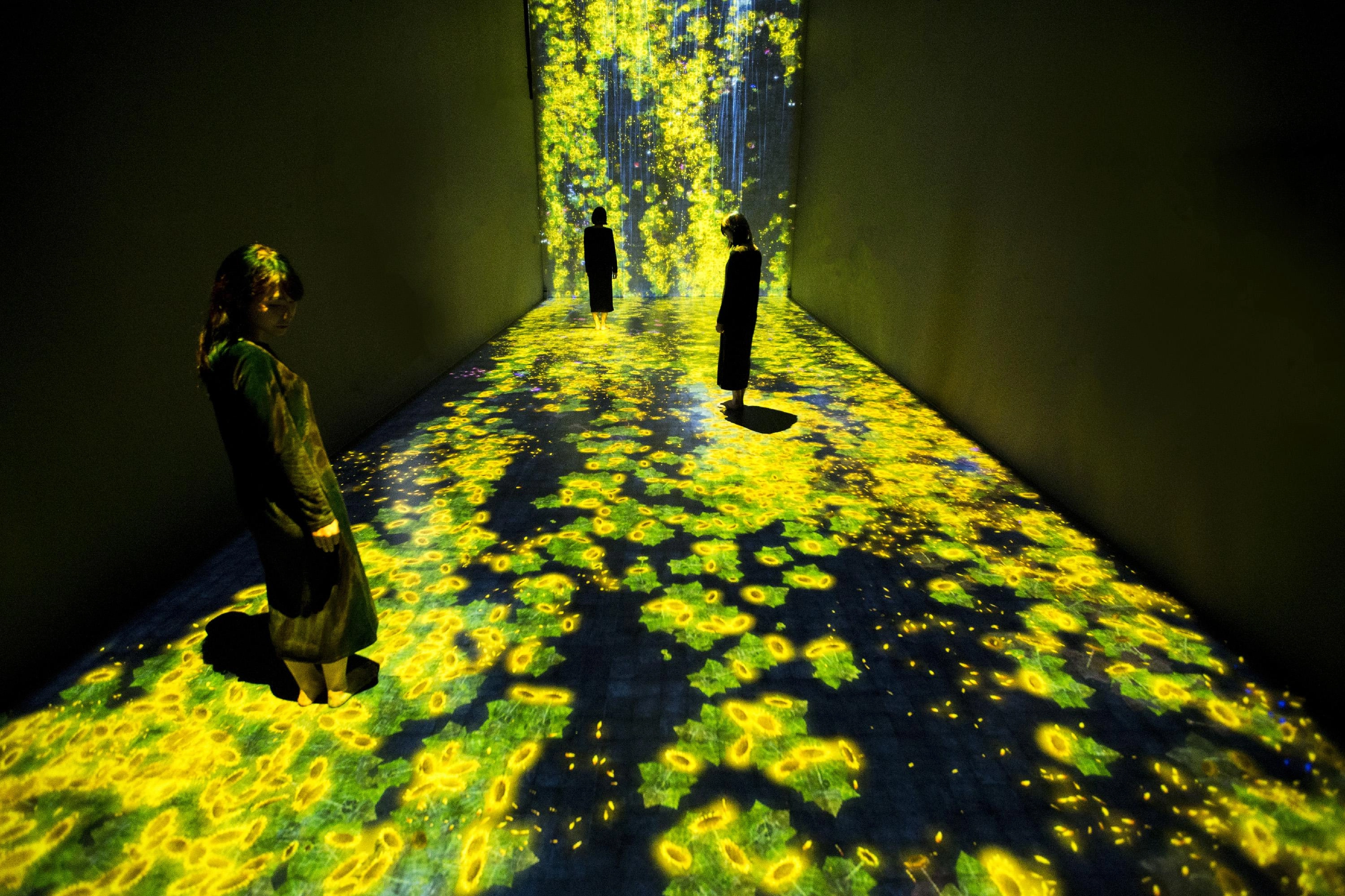 TOMORROW IS THE QUESTION | teamLab