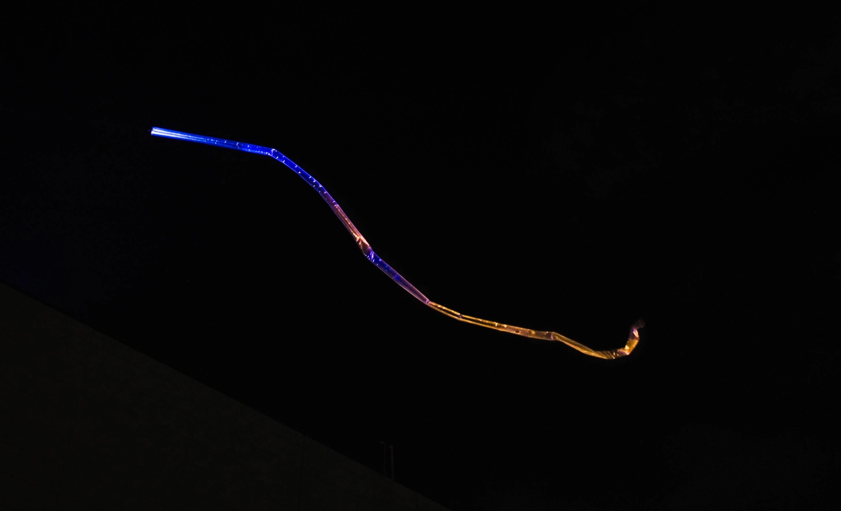teamLab: Field of Wind, Rain and Sun | teamLab