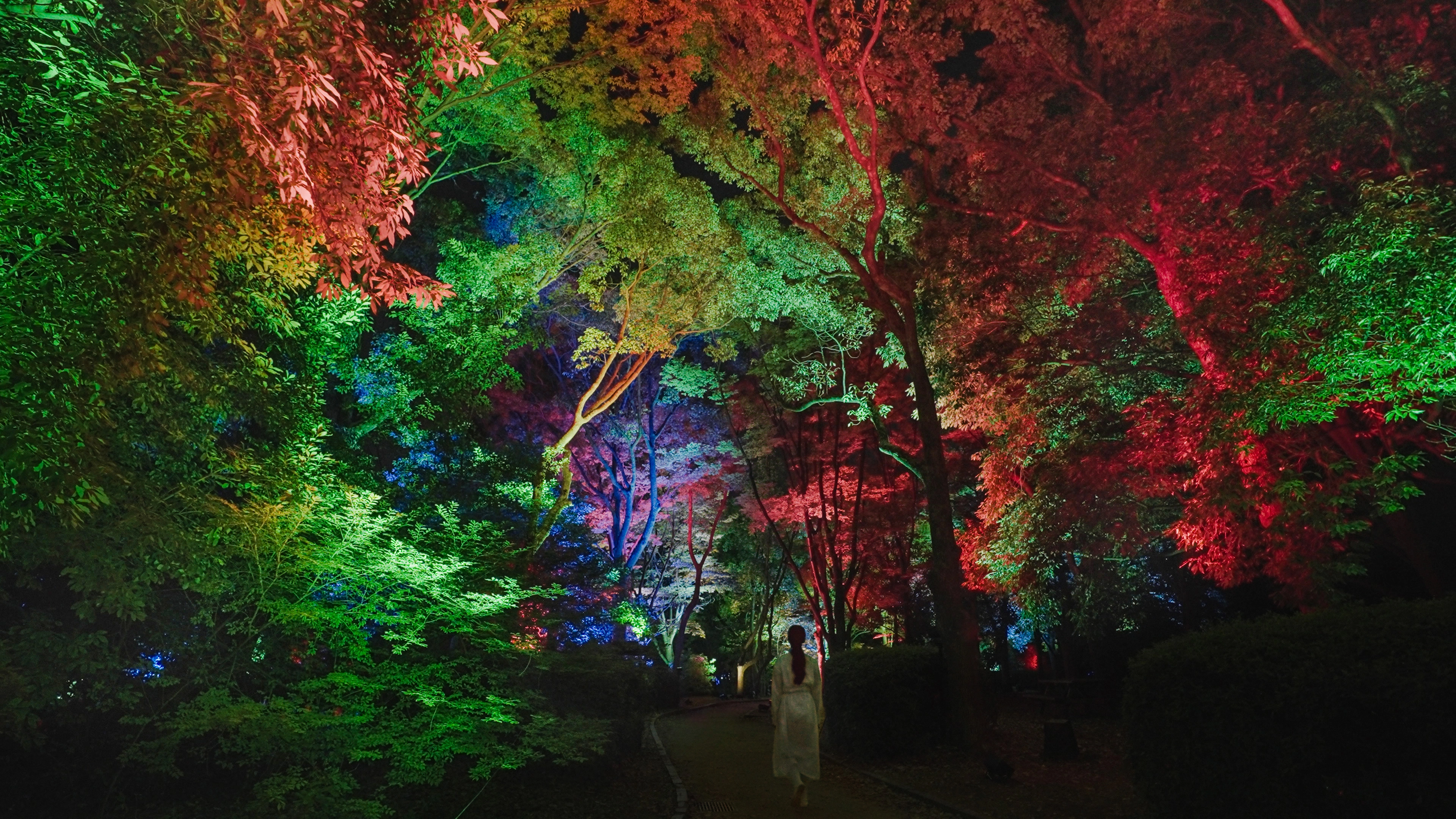 [Official] teamLab Botanical Garden Osaka | teamLab’s permanent ...