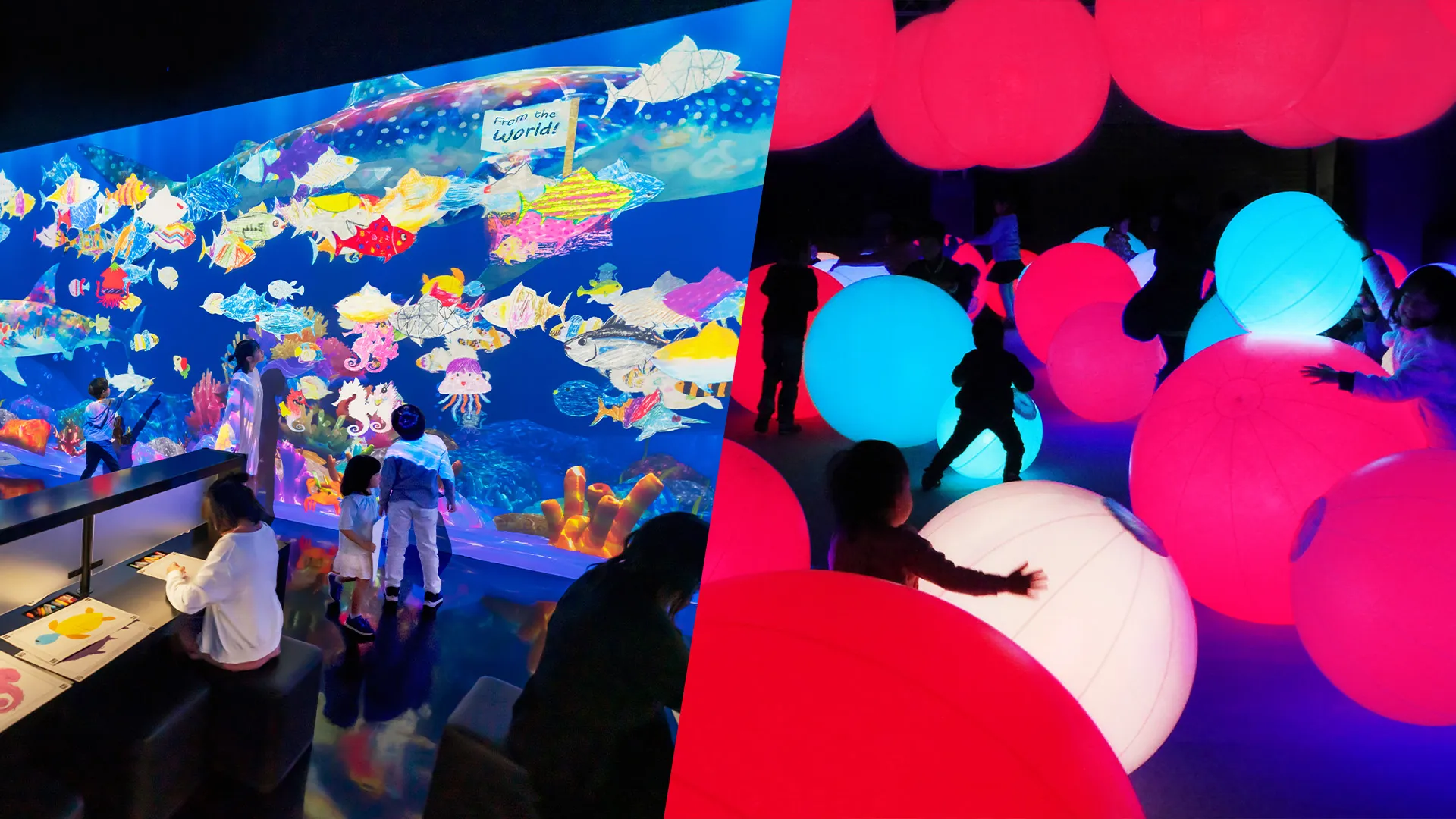 近くの展示画像