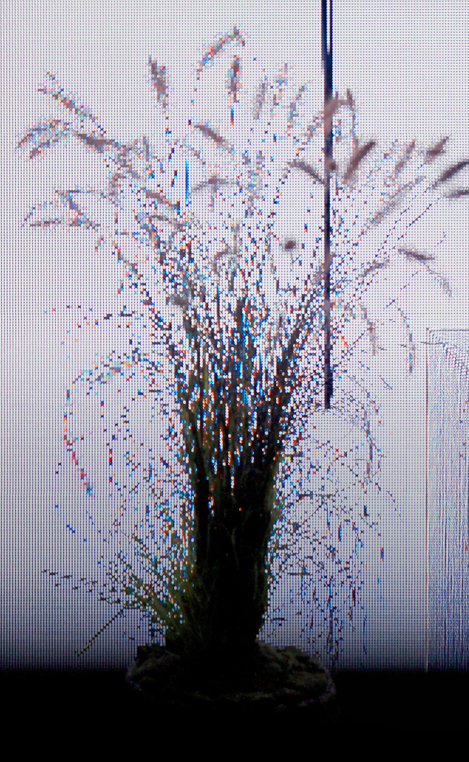 展示テーマ画像