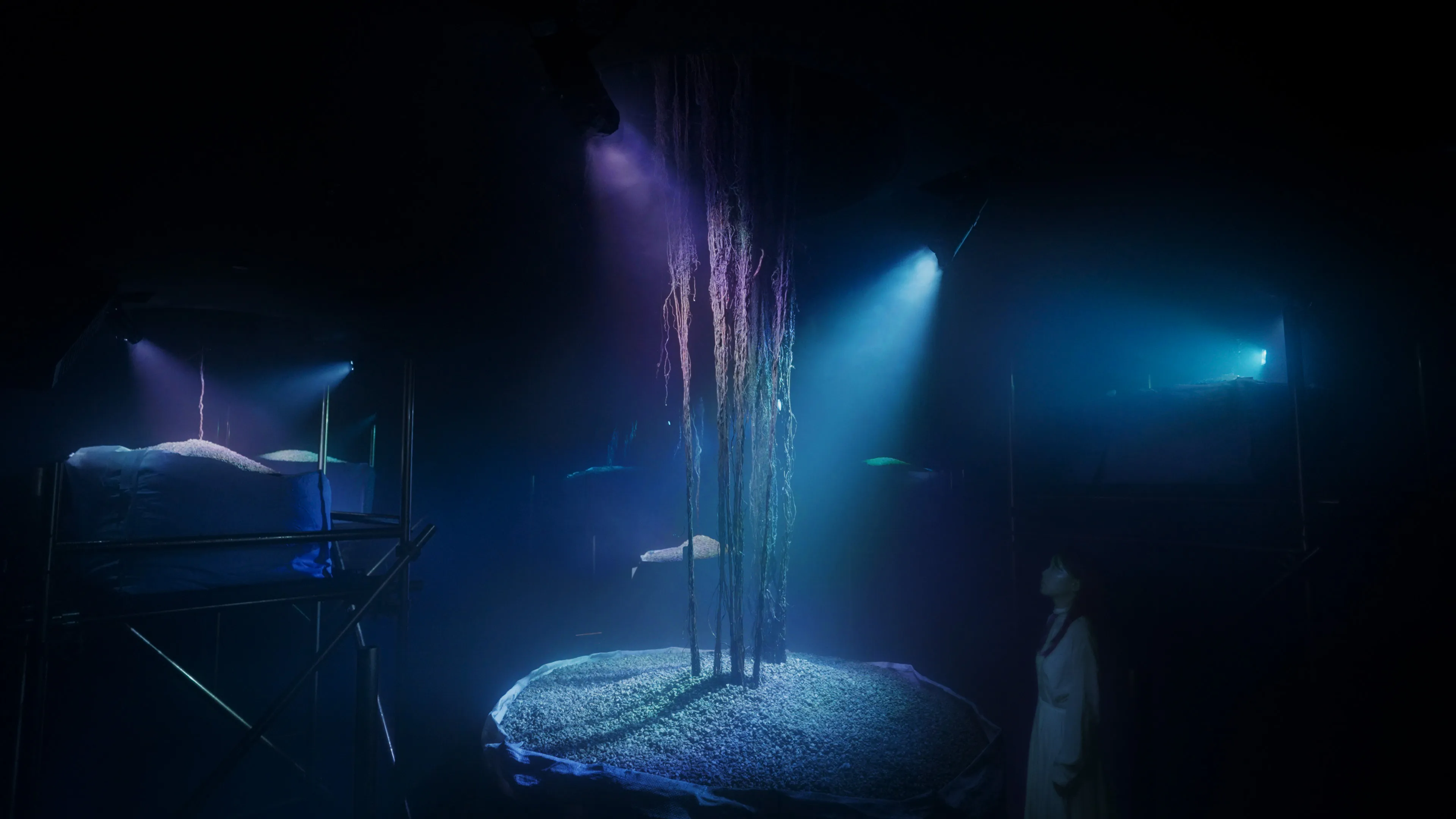 新着作品展示画像