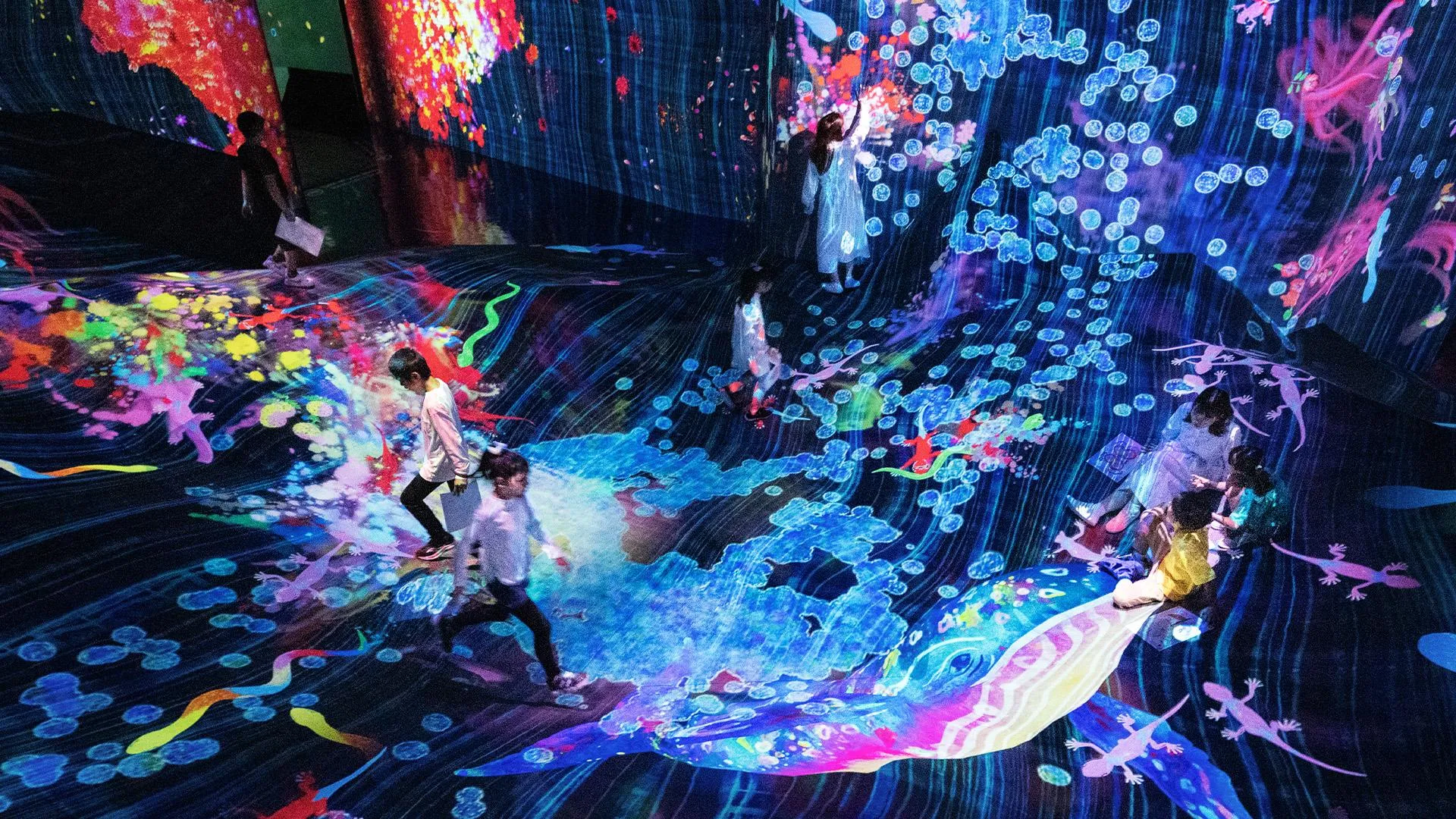 近くの展示画像