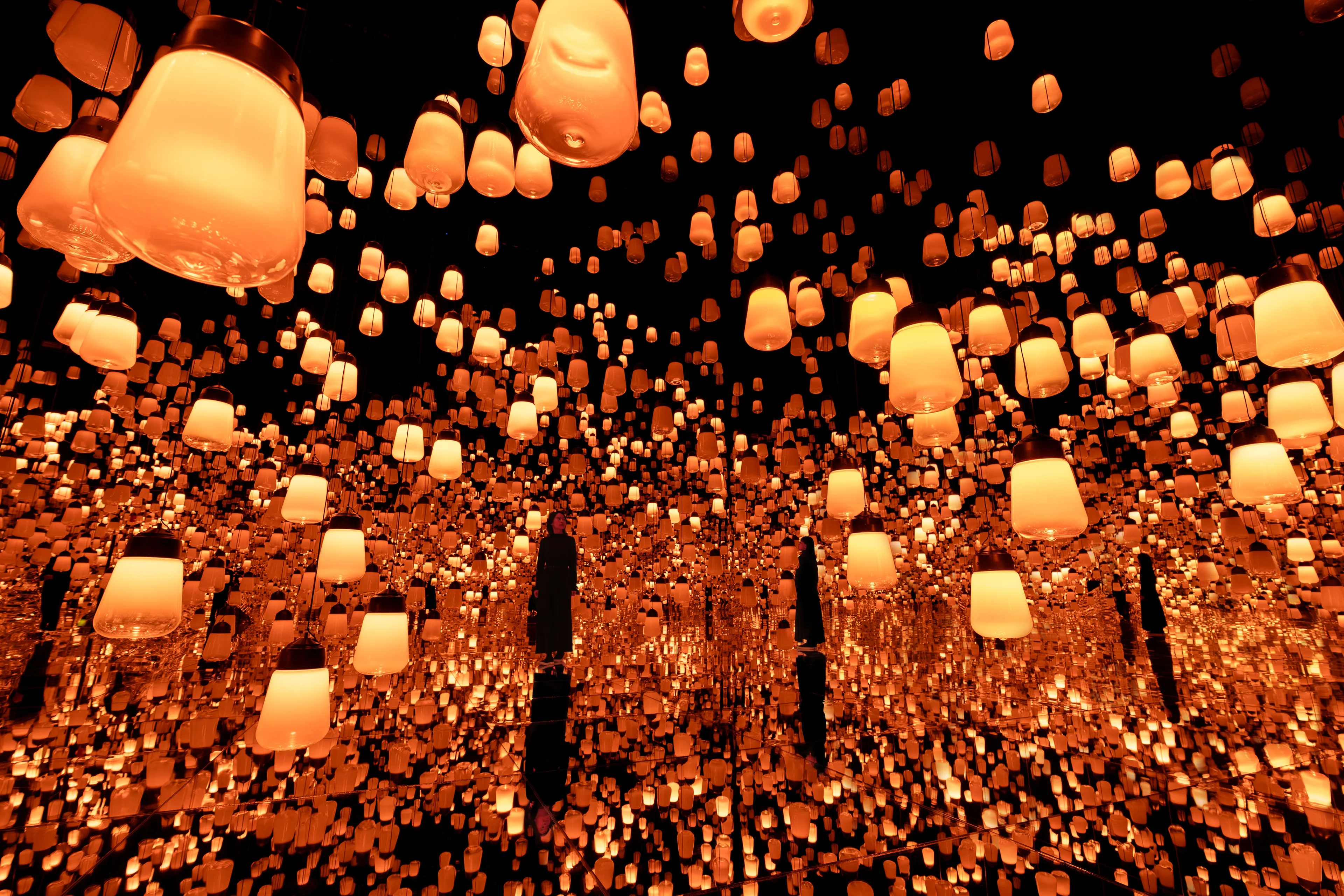 新着作品展示画像