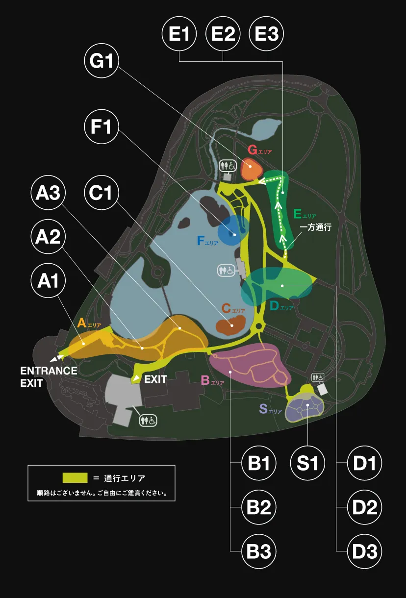 map画像