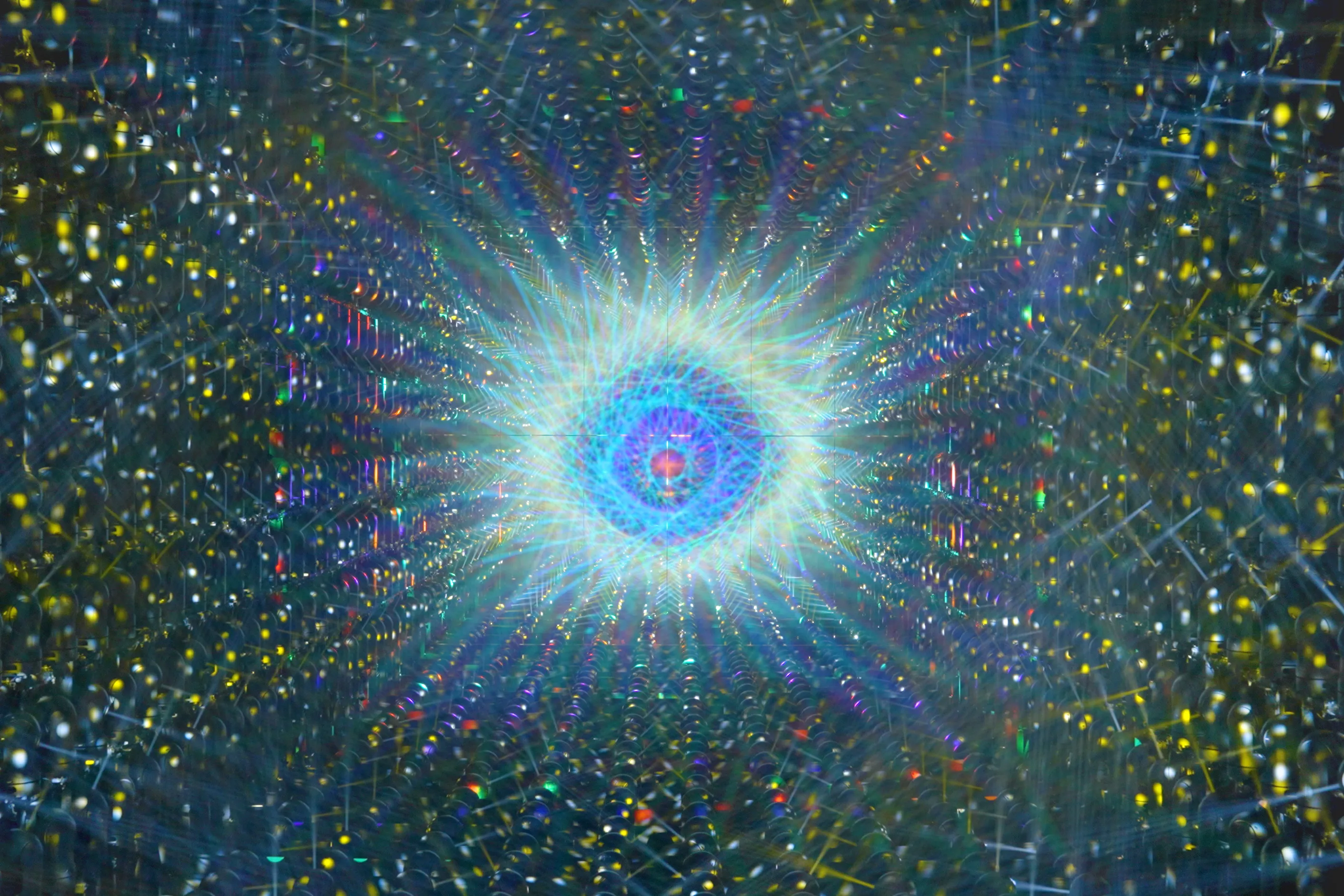 作品画像