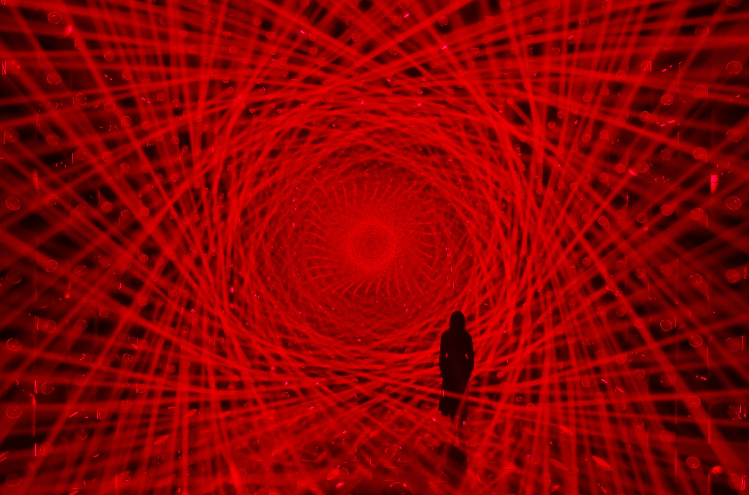 作品画像