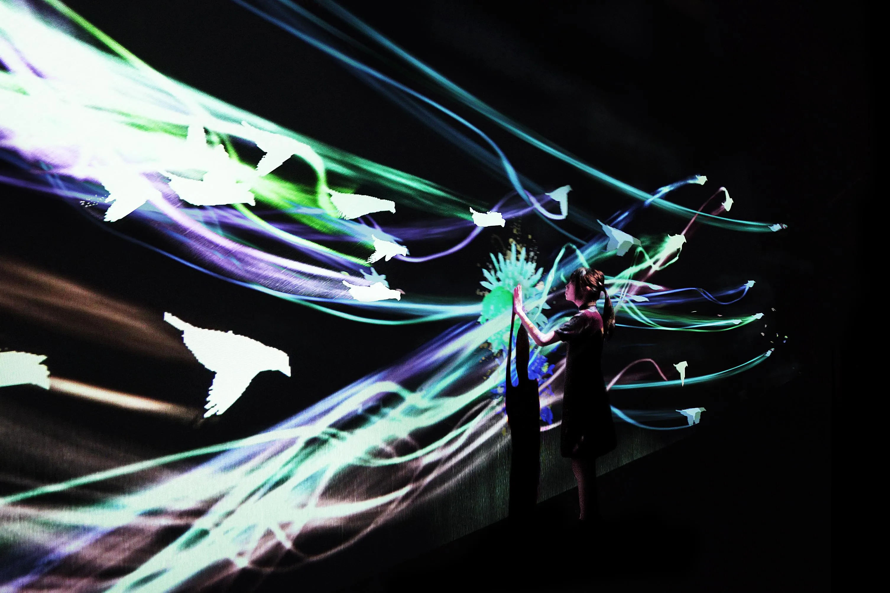 展示テーマ画像