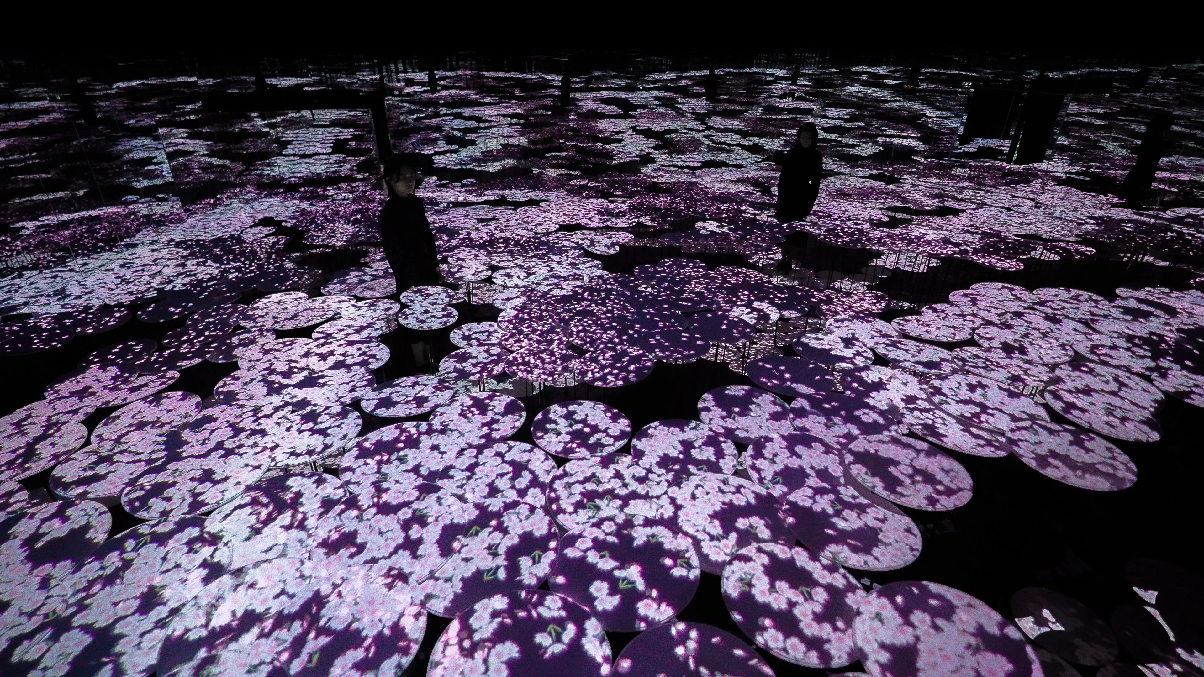 新着作品展示画像