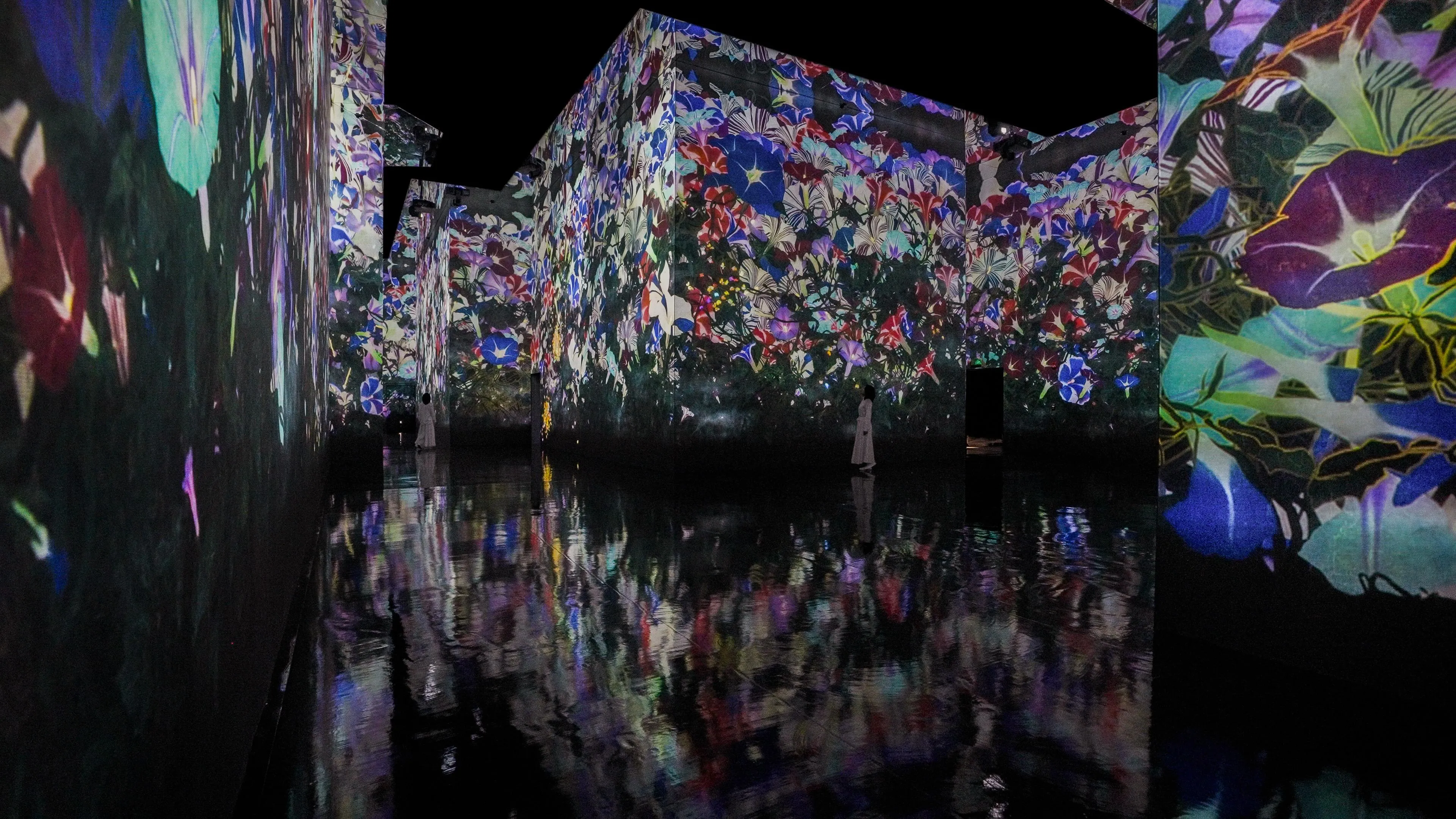 新着作品展示画像