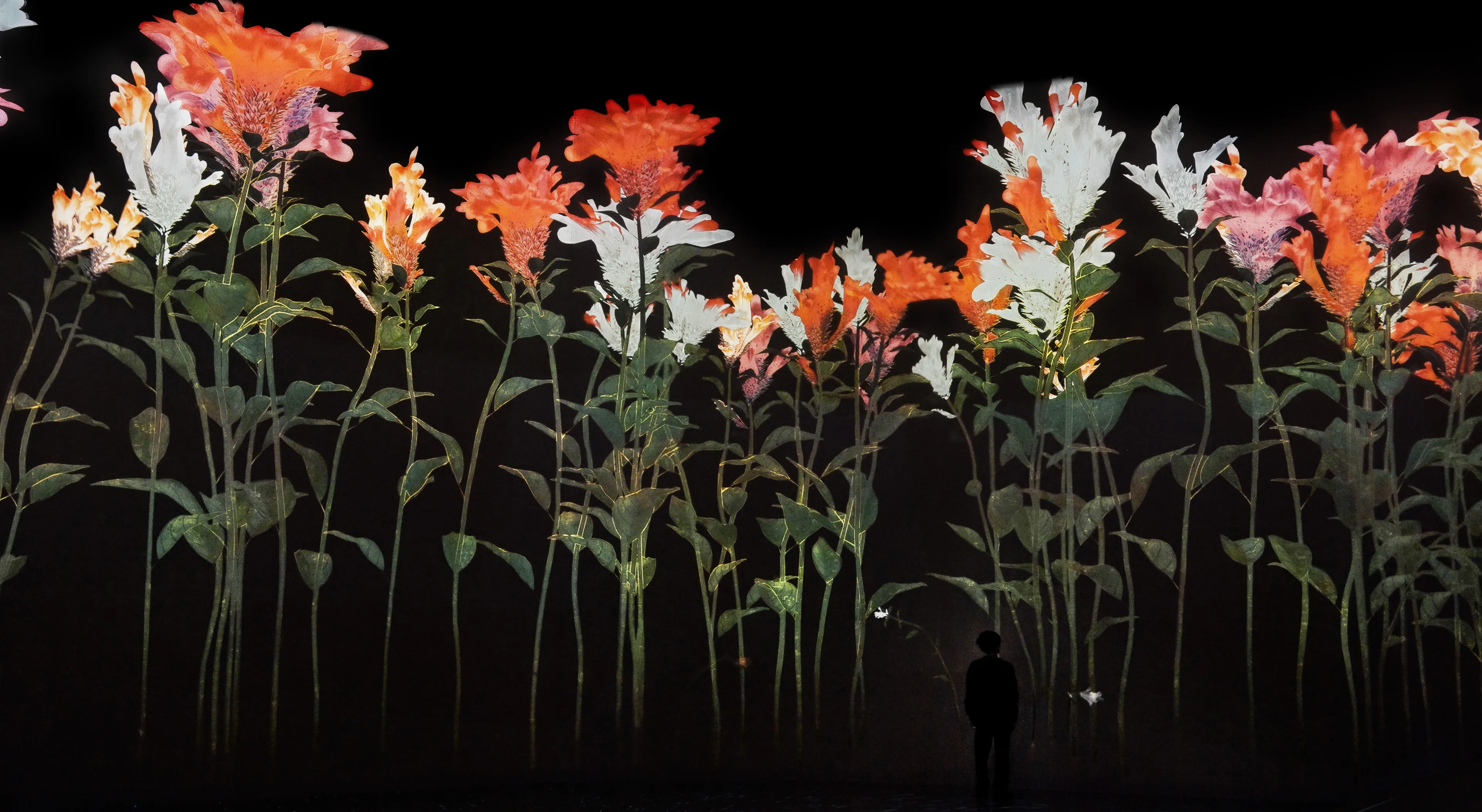 新着作品展示画像