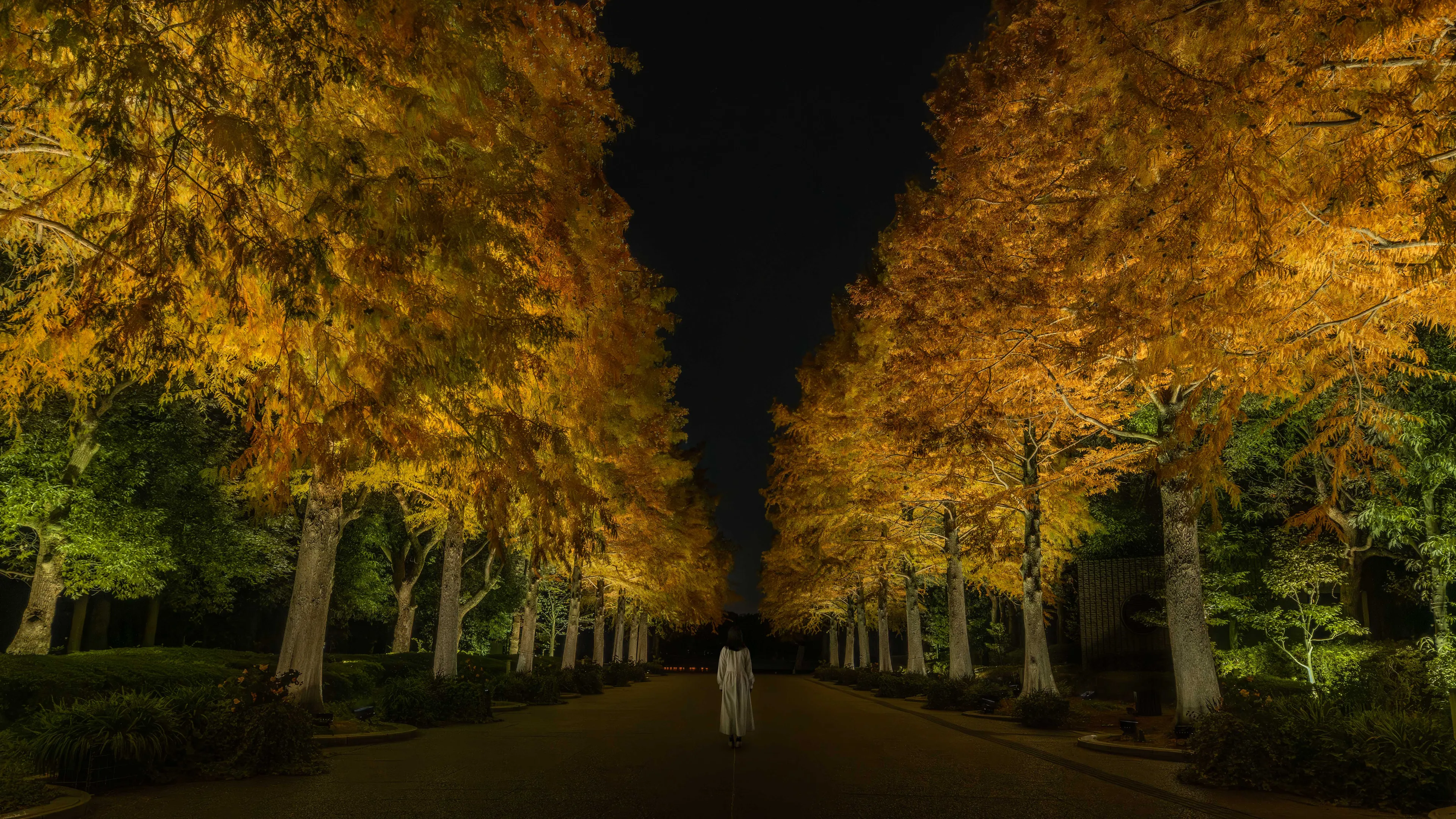 新着作品展示画像