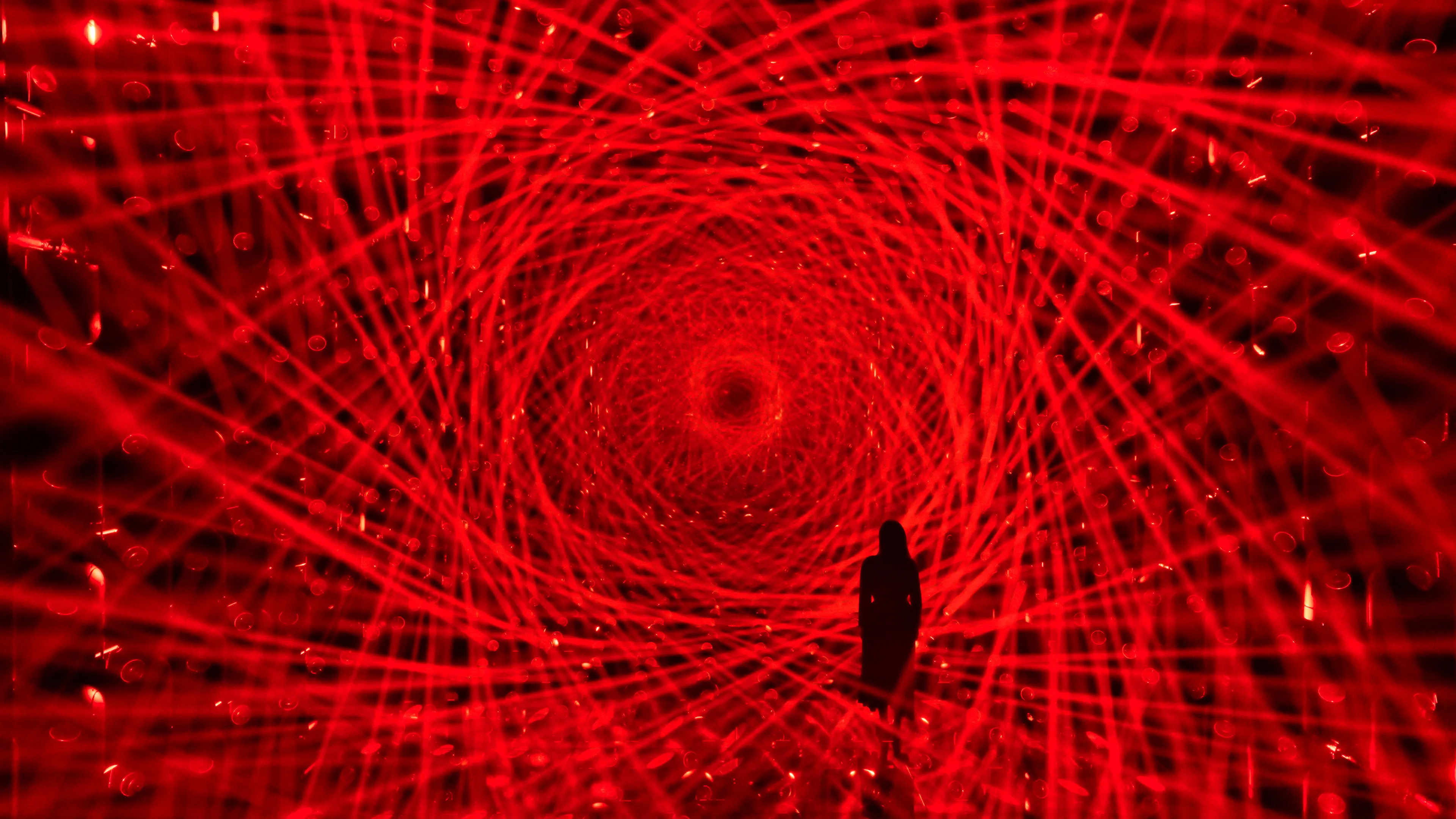 新着作品展示画像