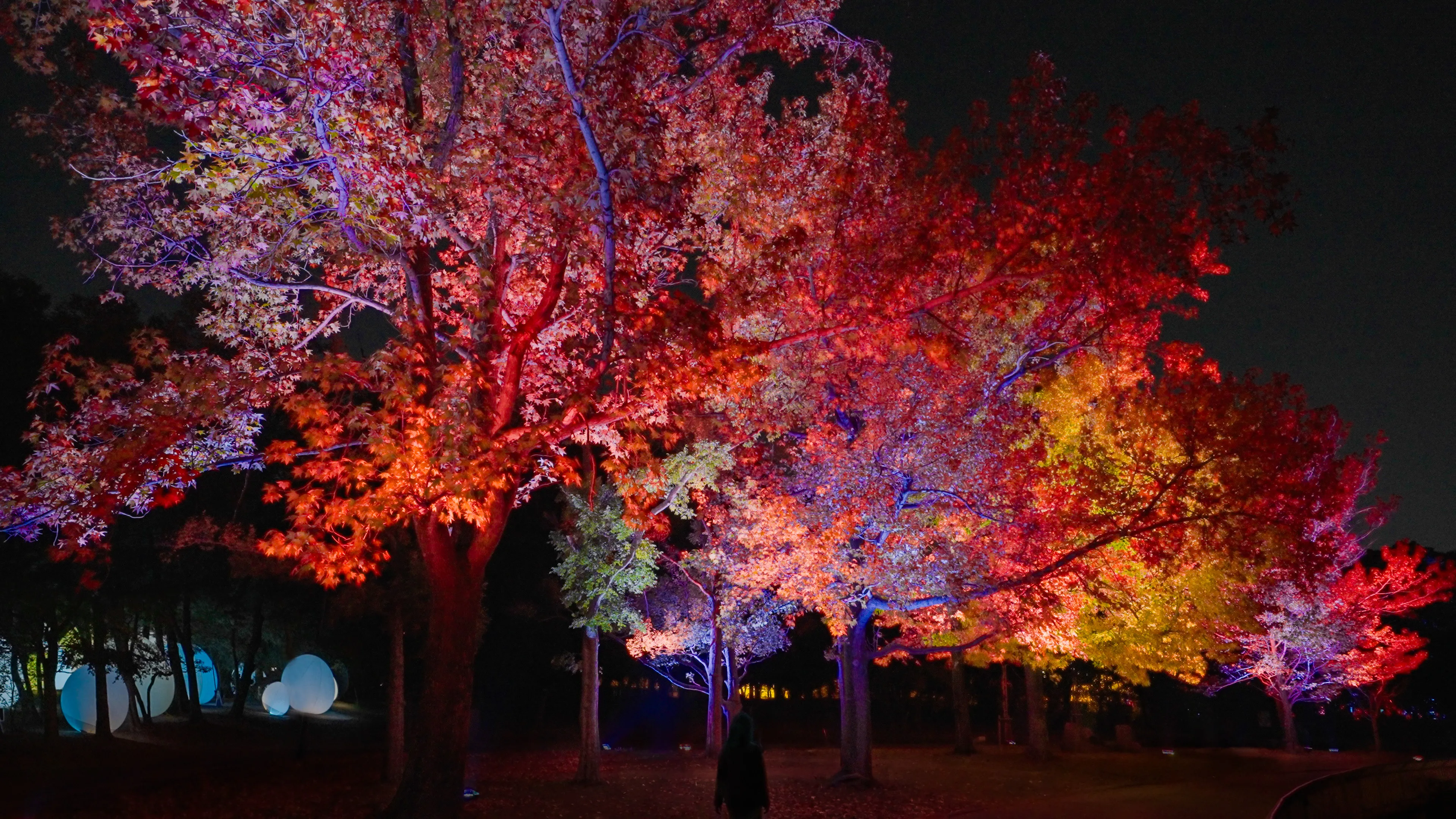 新着作品展示画像