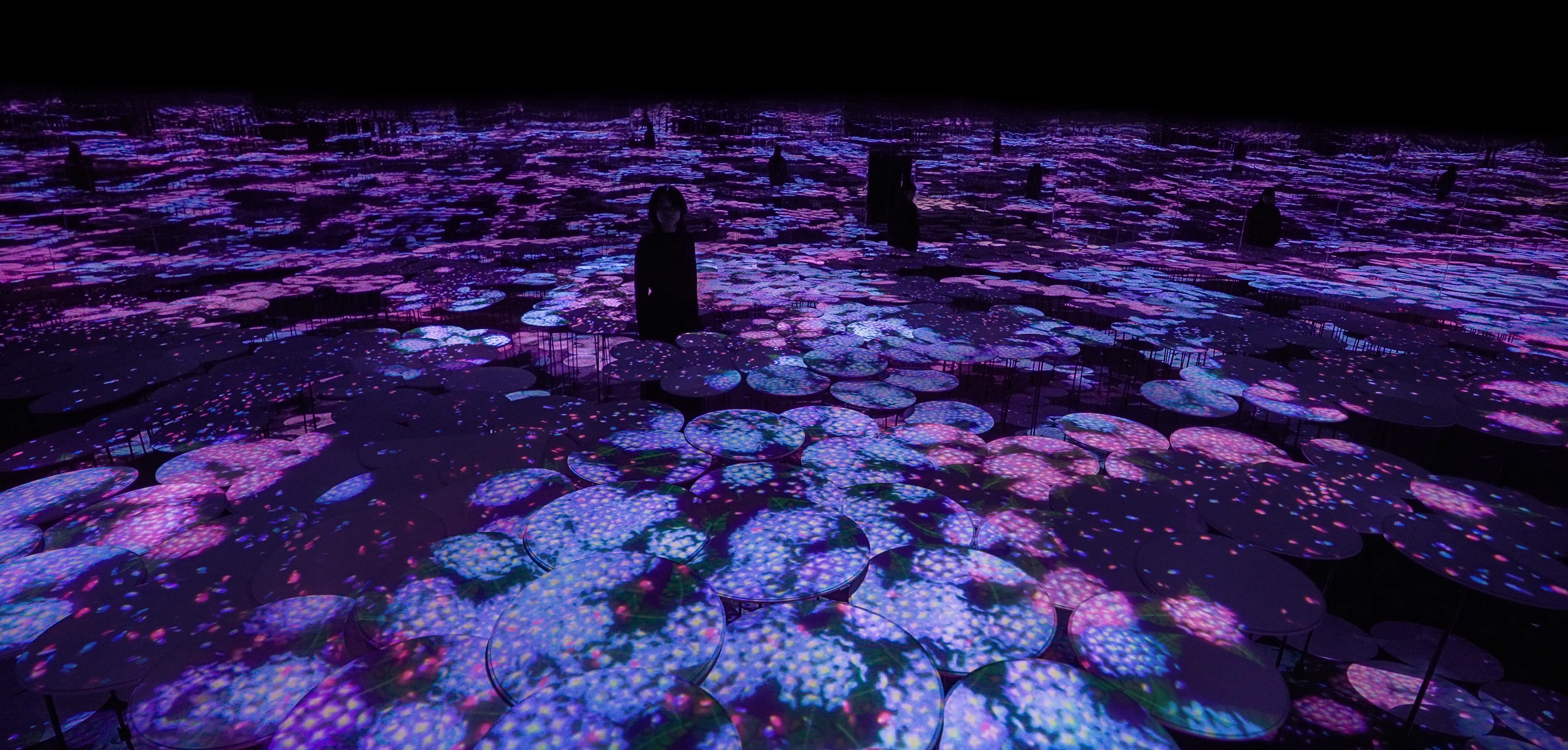新着作品展示画像