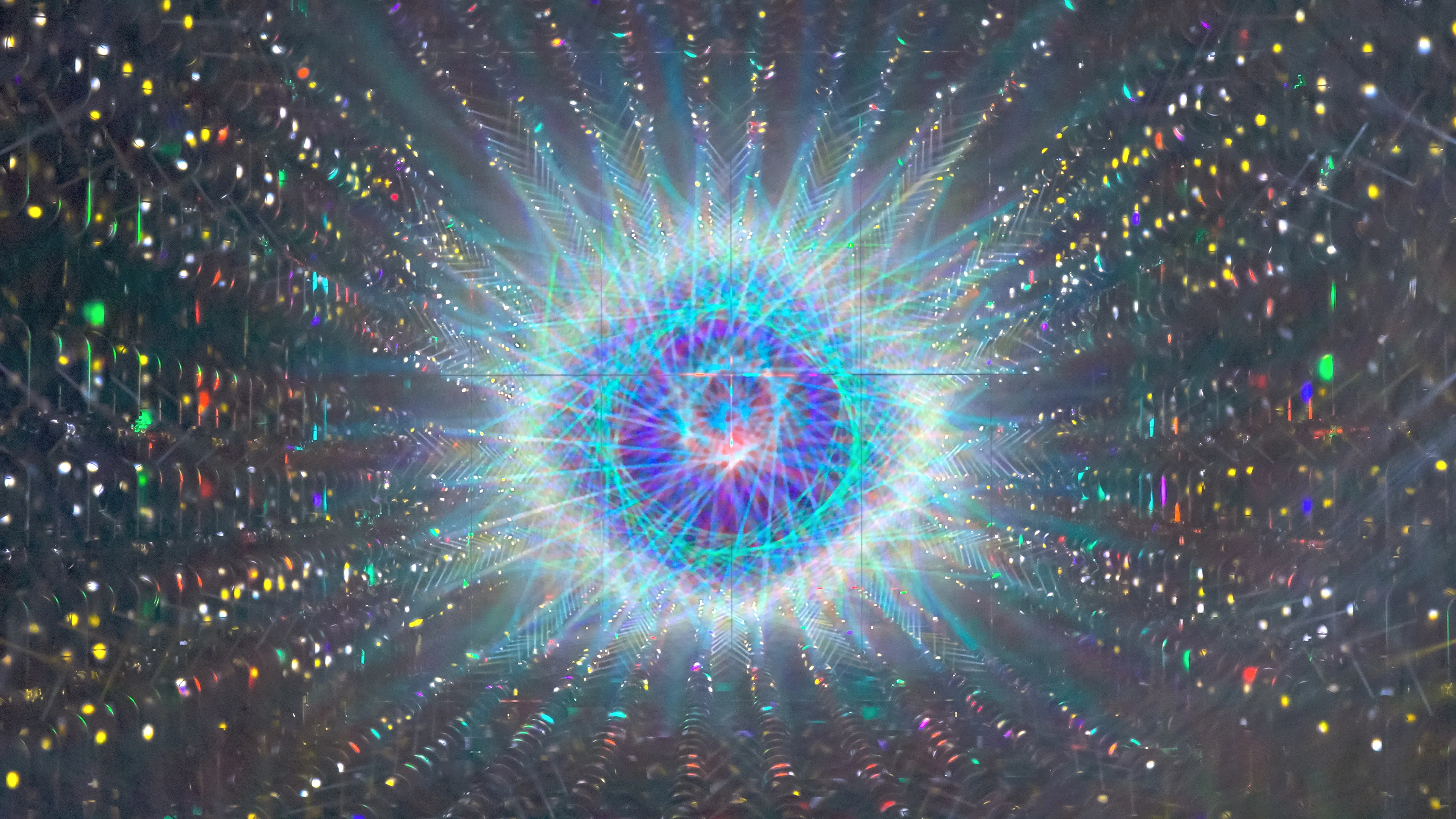 作品画像