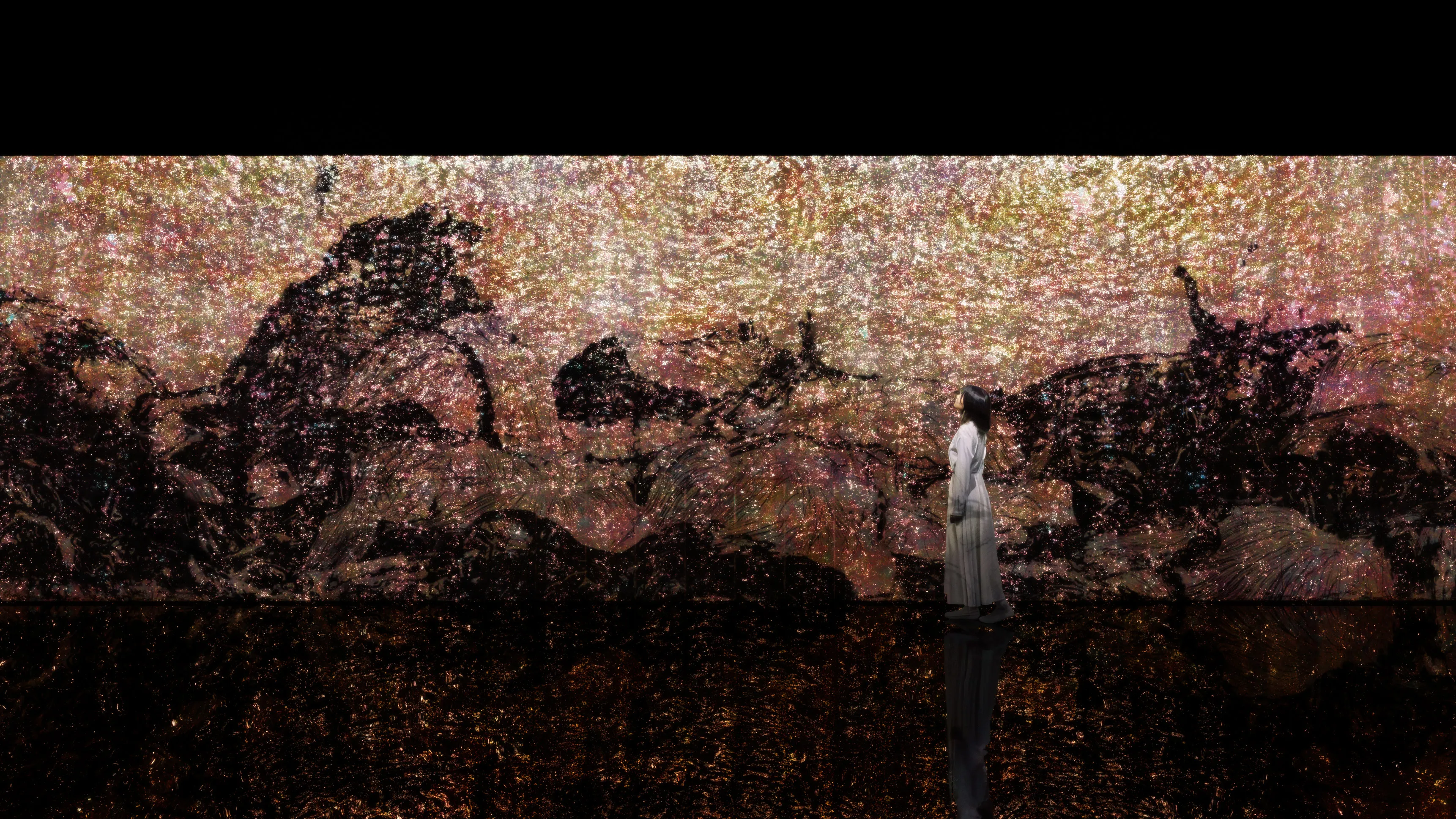 作品画像