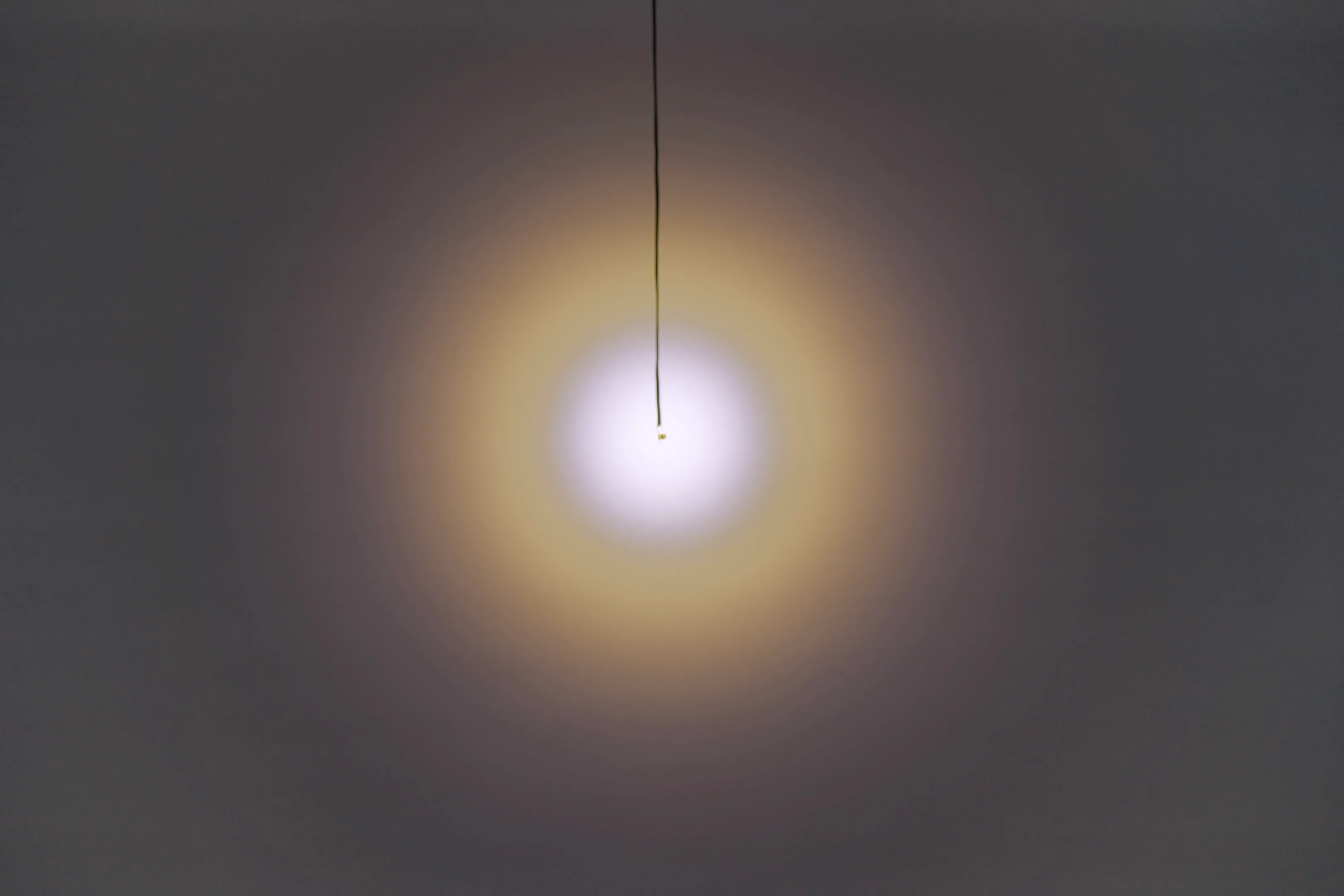 作品画像