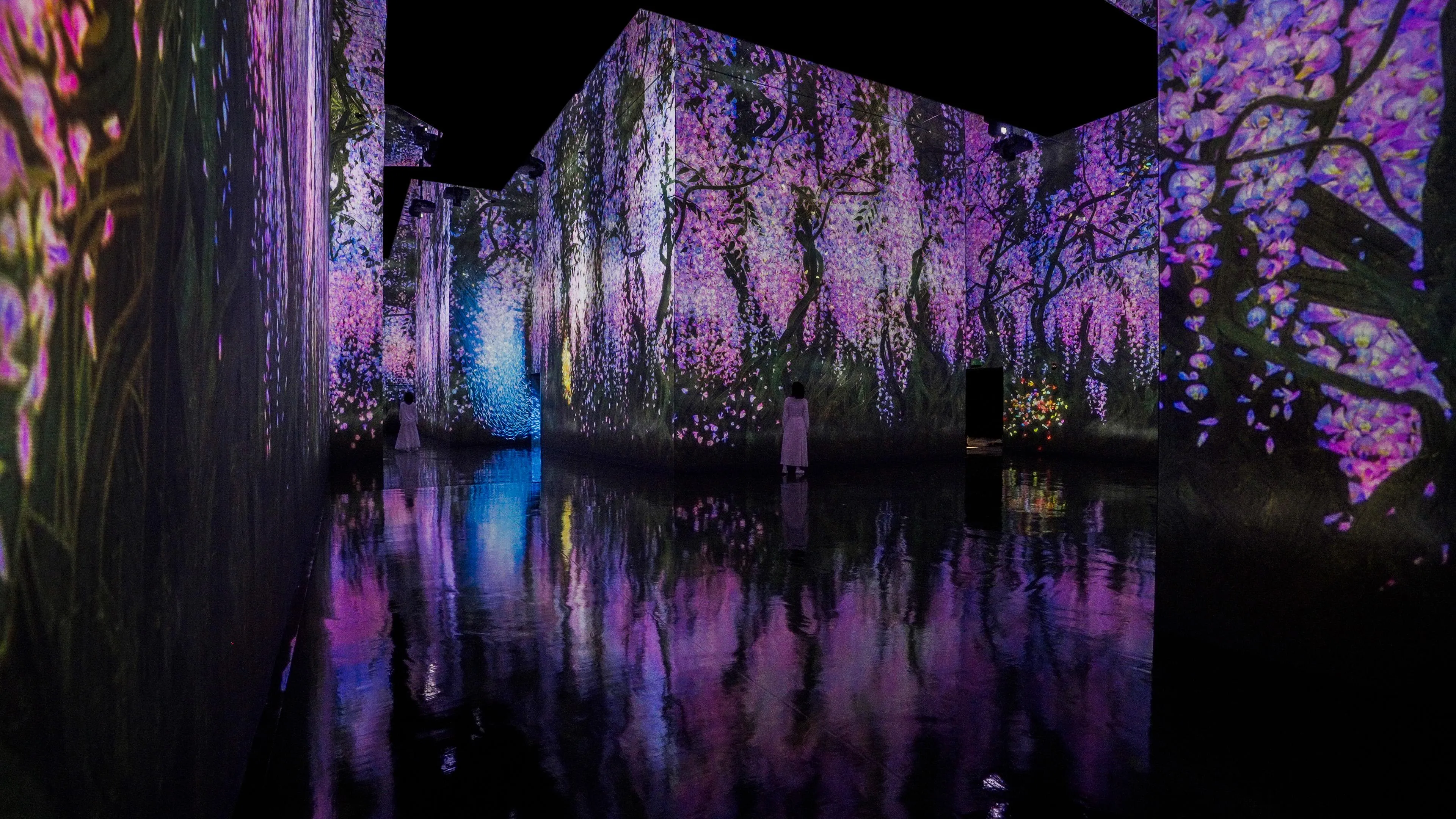 新着作品展示画像