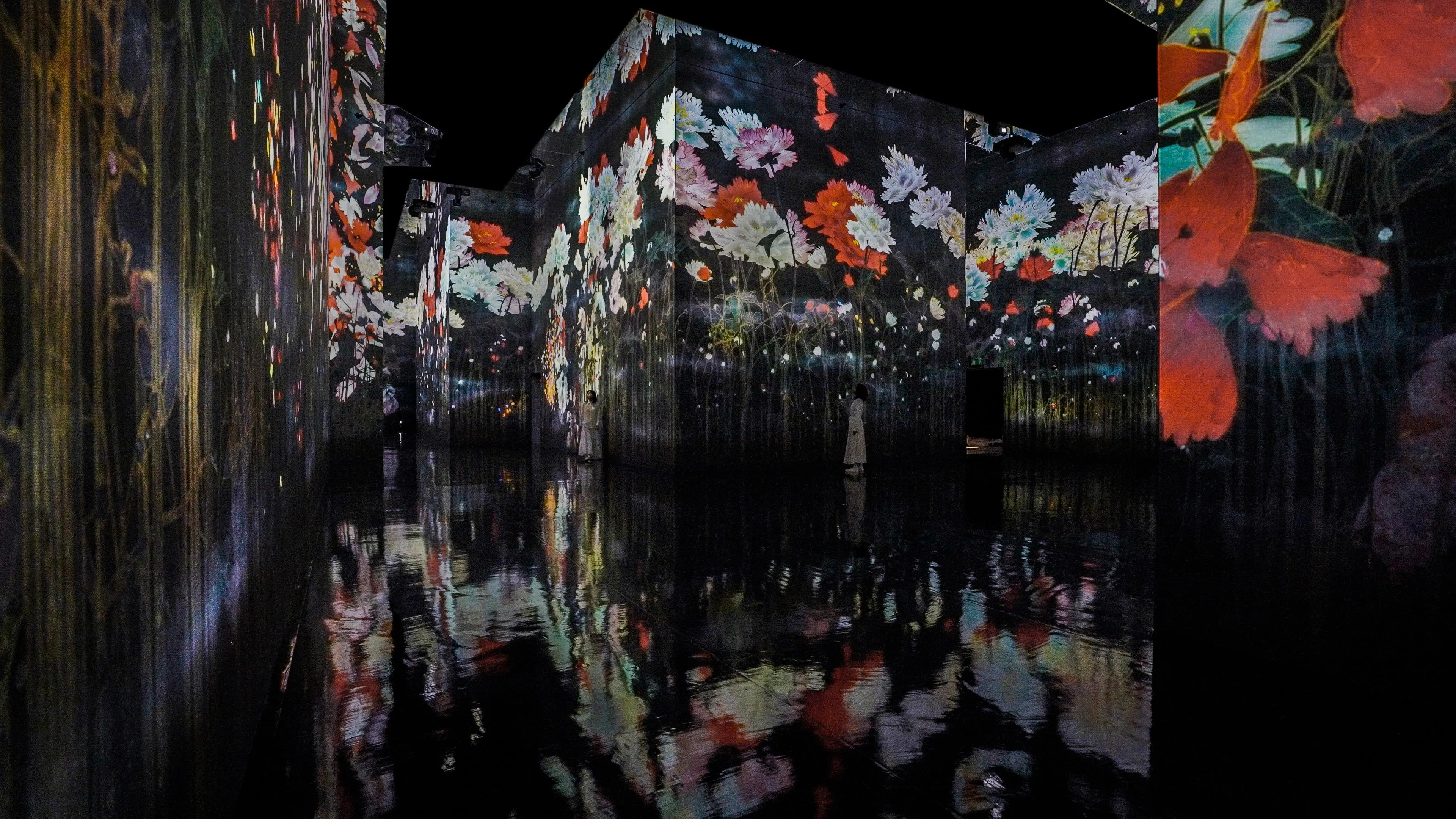 新着作品展示画像