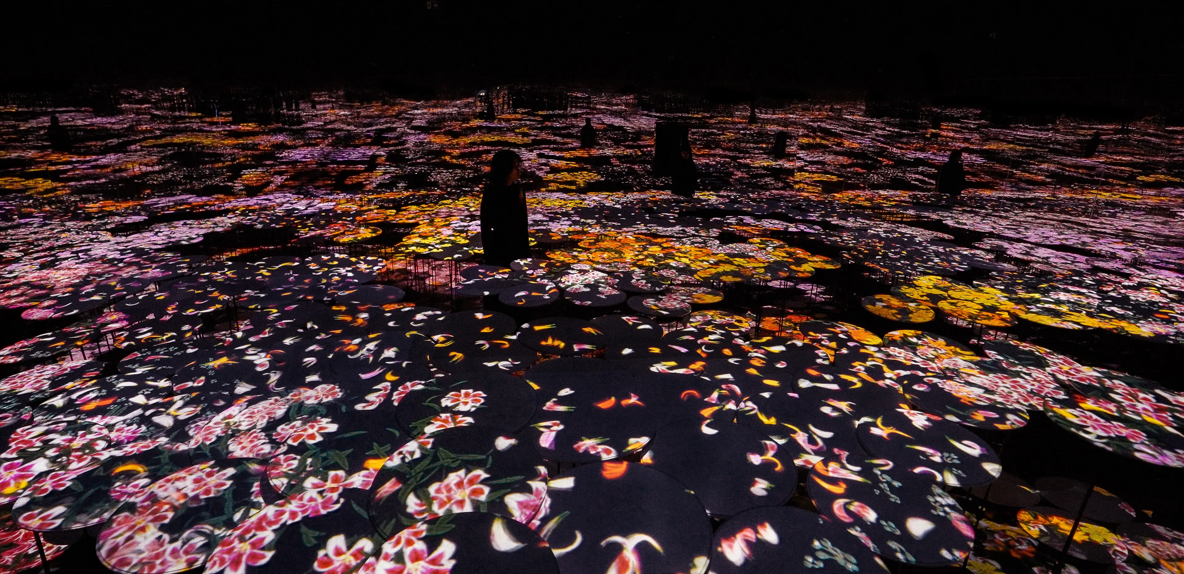 新着作品展示画像