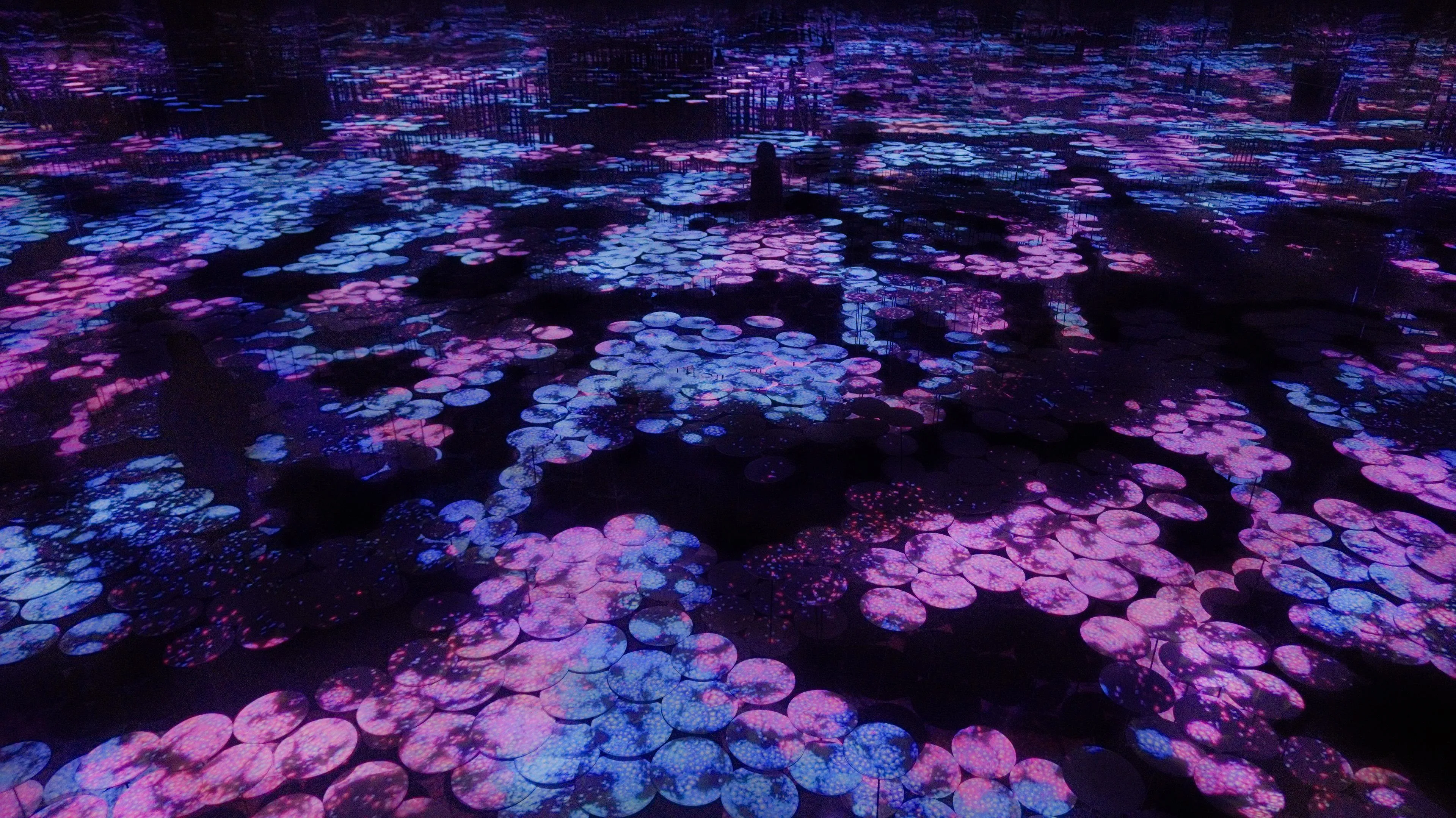 新着作品展示画像
