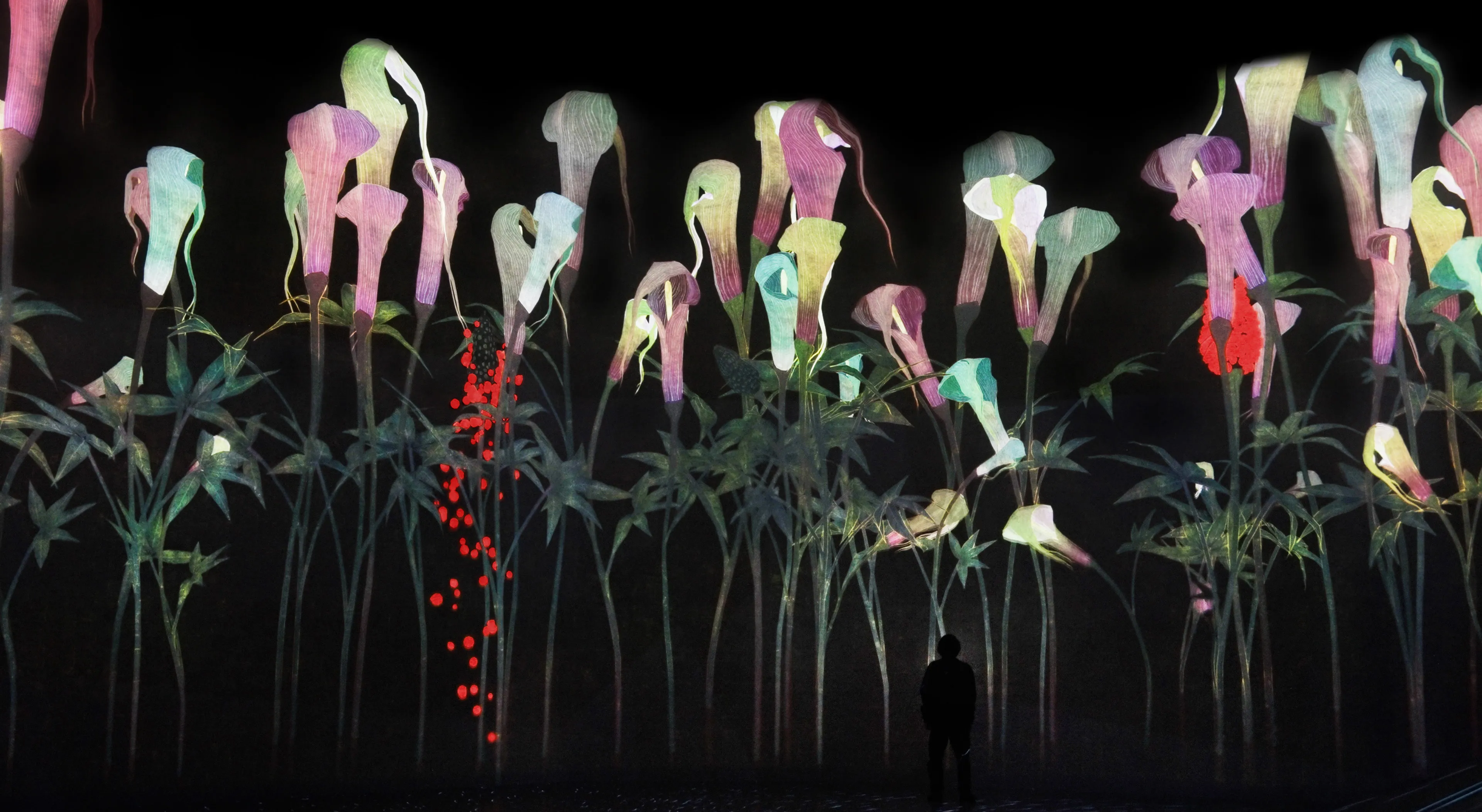 新着作品展示画像