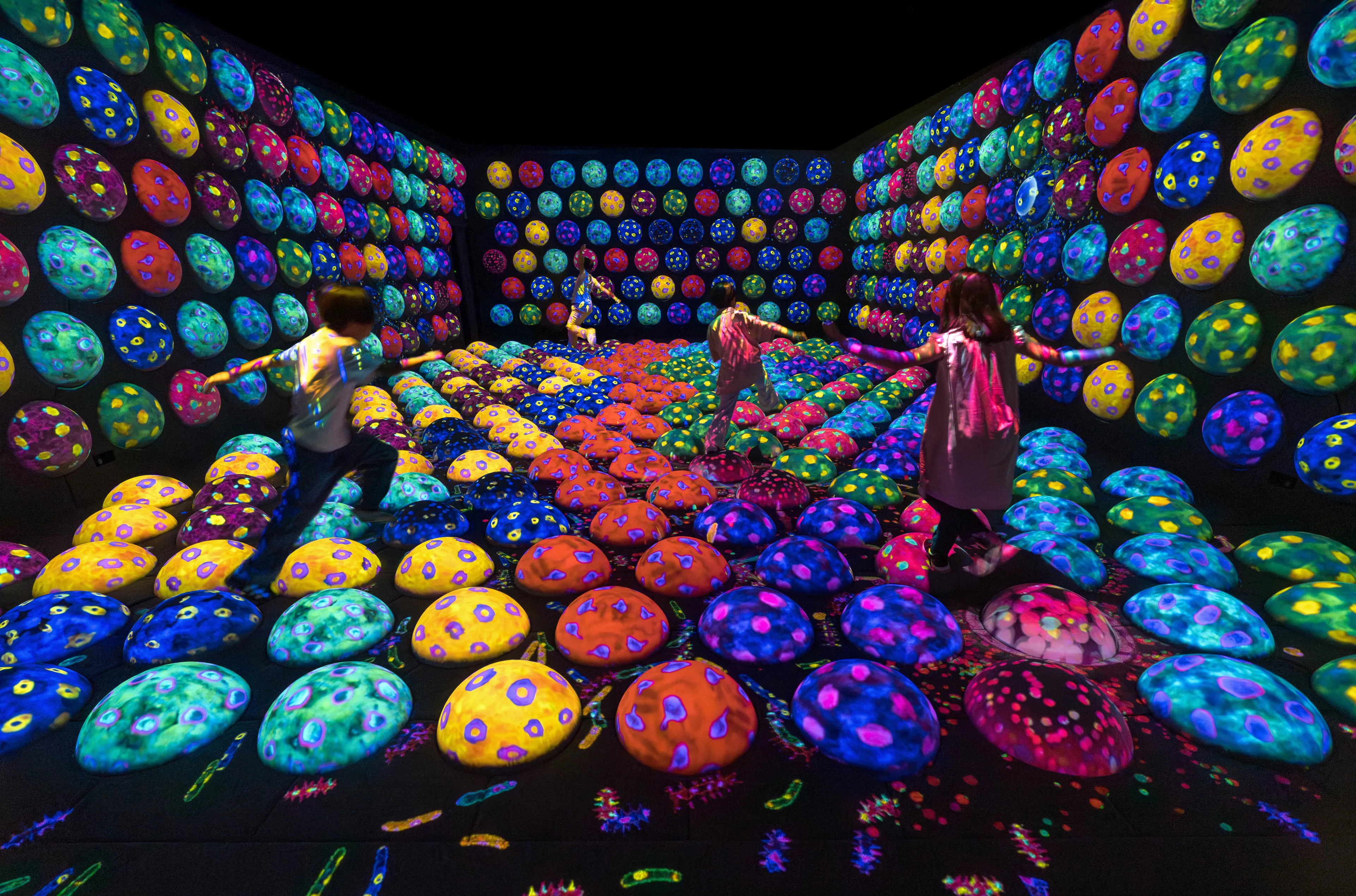 チームラボ バイオヴォルテックス 京都 - 大成建設 | teamLab / チームラボ