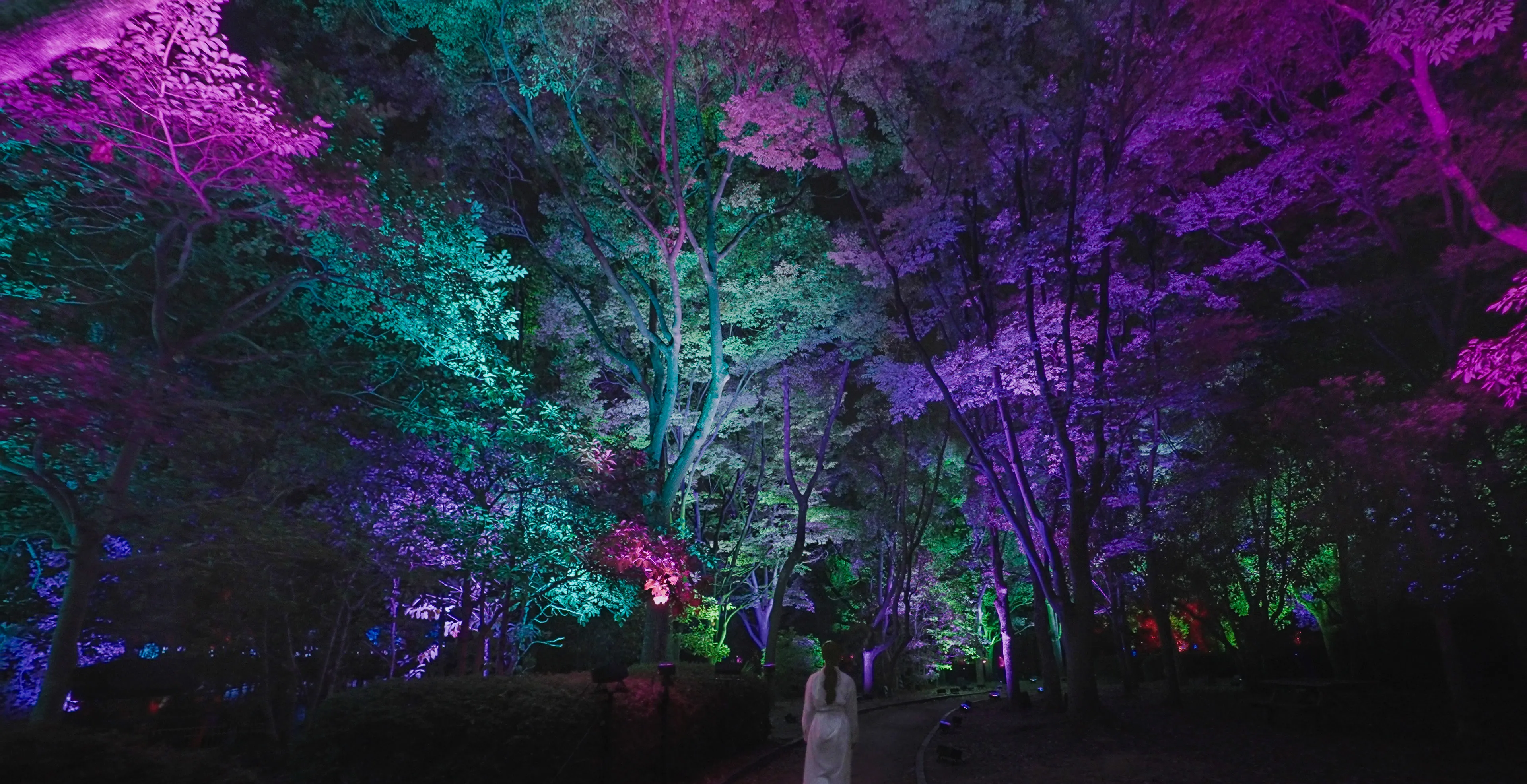 呼応する木々 - 欅と楠 / Resonating Trees - Zelkova and Camphor tree | teamLab ...