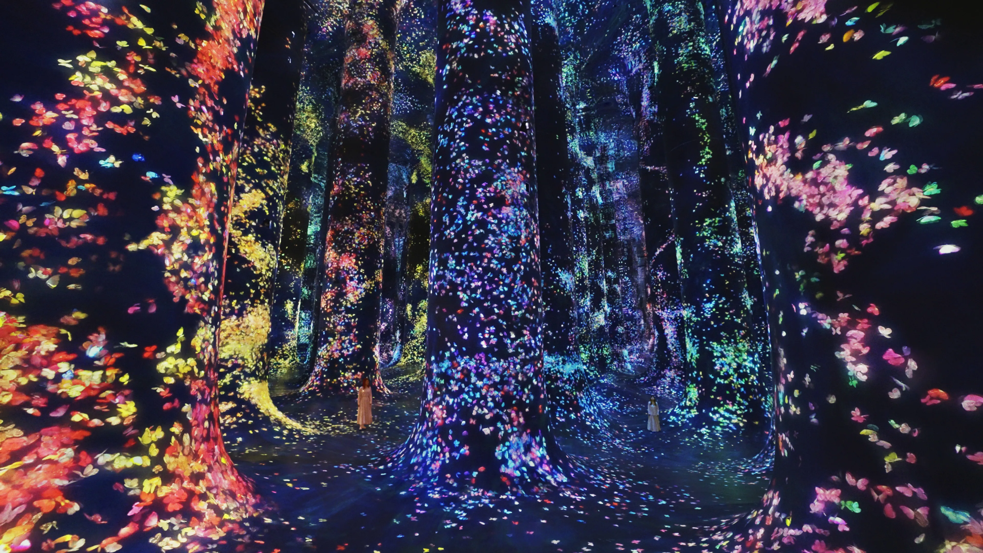 ALL | teamLab
