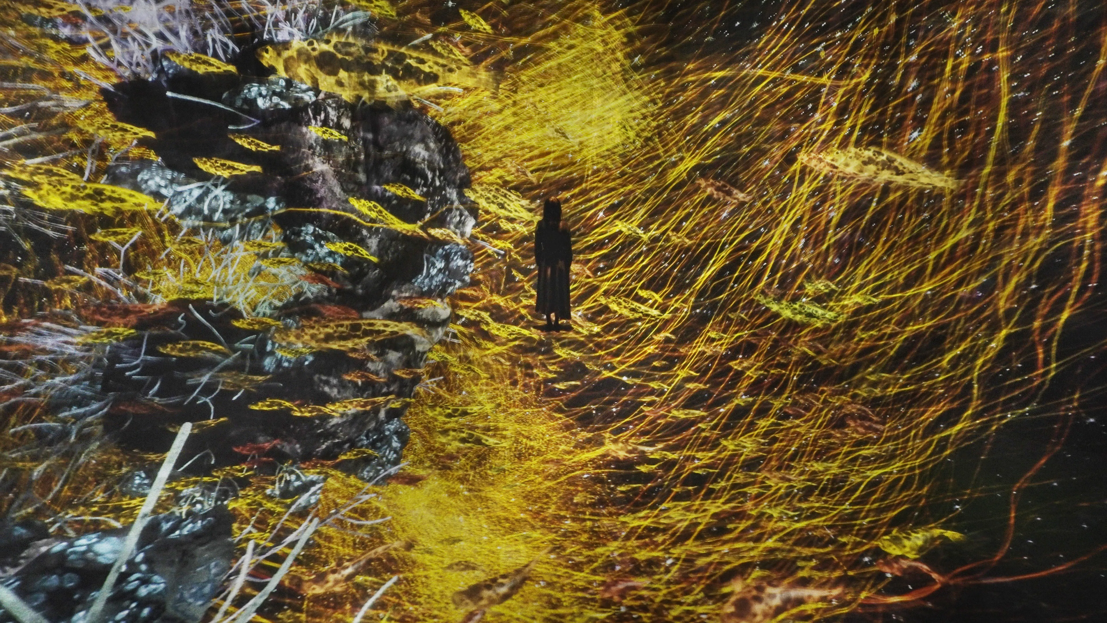 海洋之流动：虚空的宇宙 / The Way of the Sea: Cosmic Void | teamLab