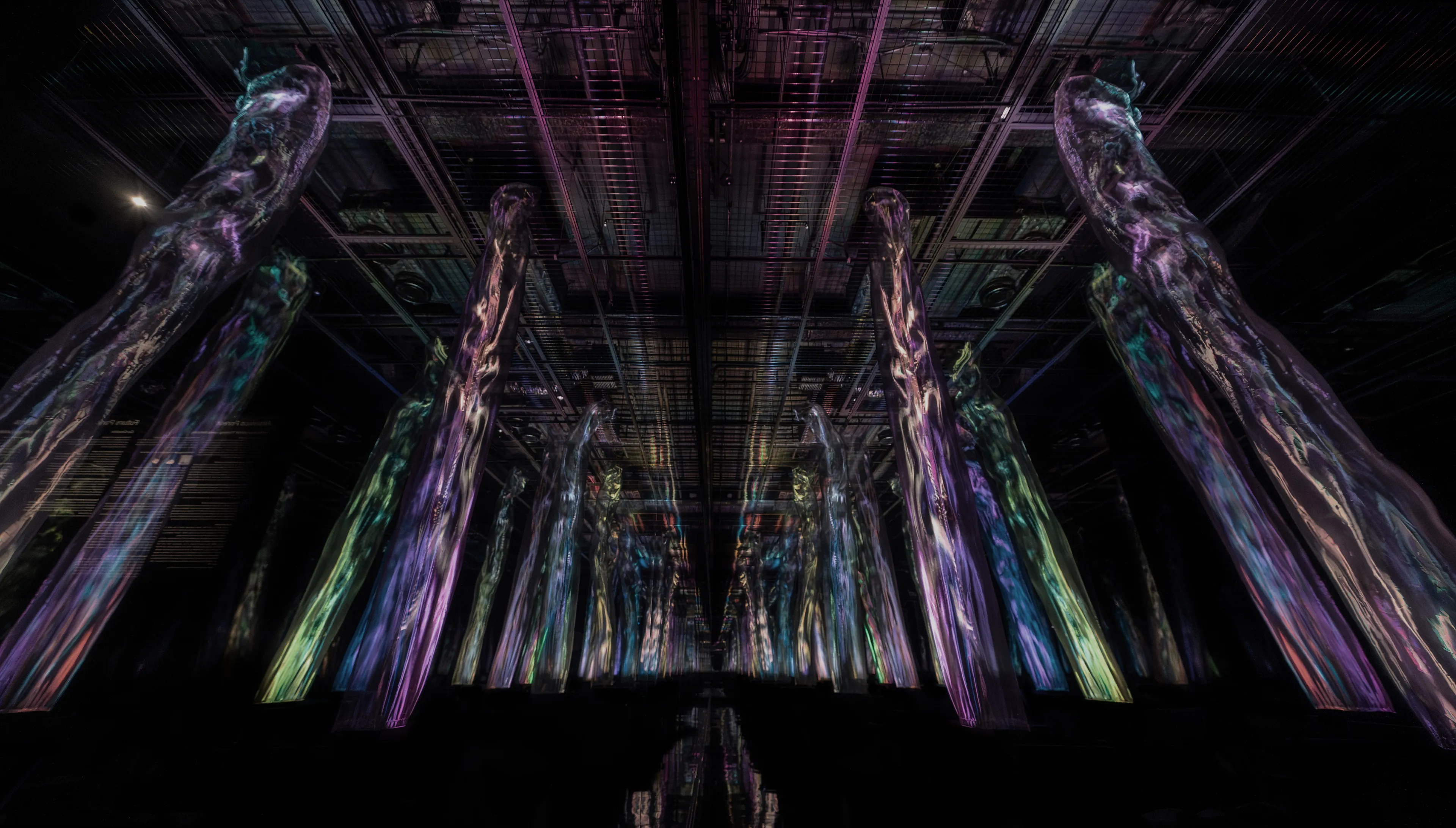 Forest of Flow and Light | teamLab