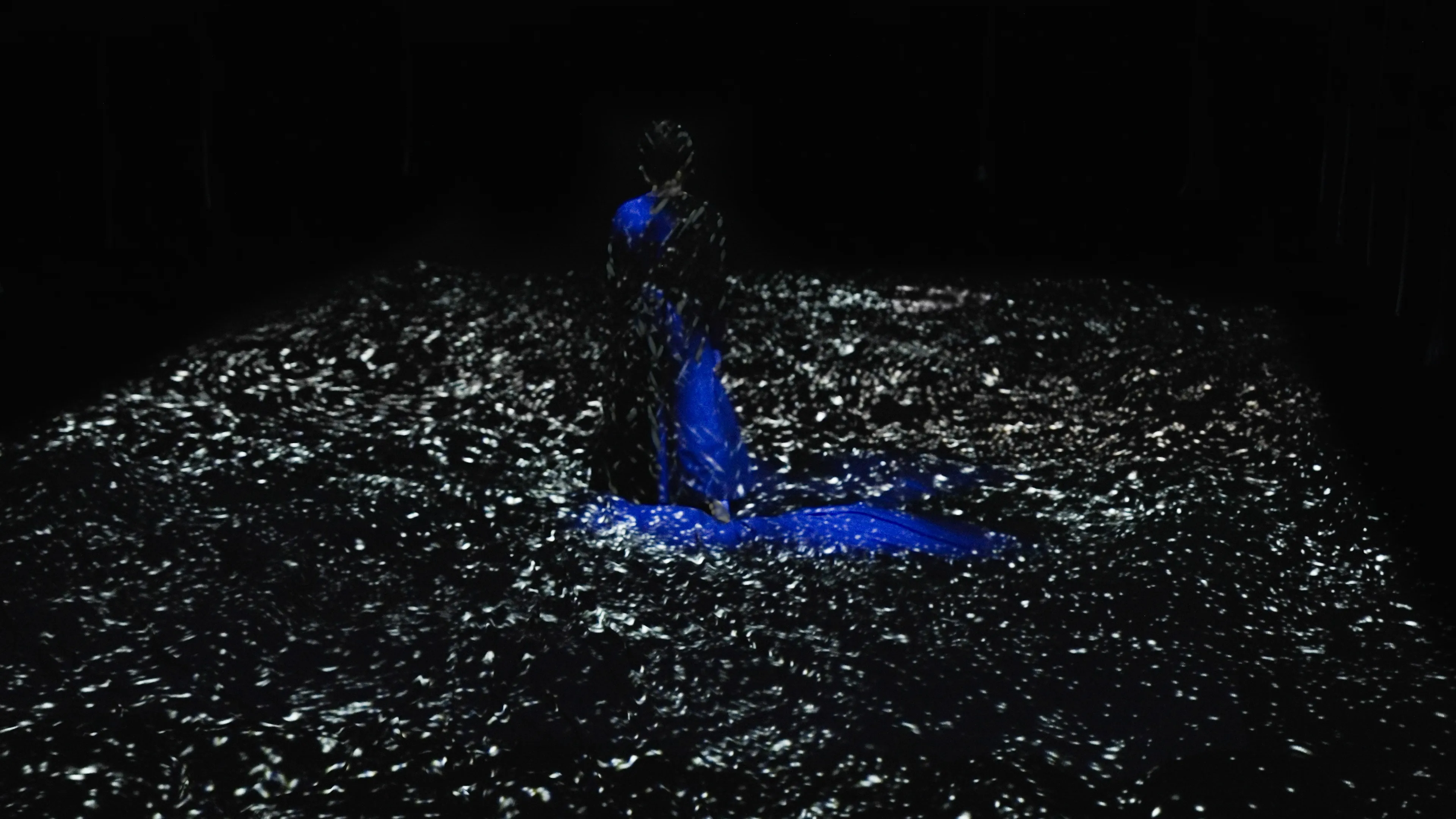 Body of Waves | teamLab