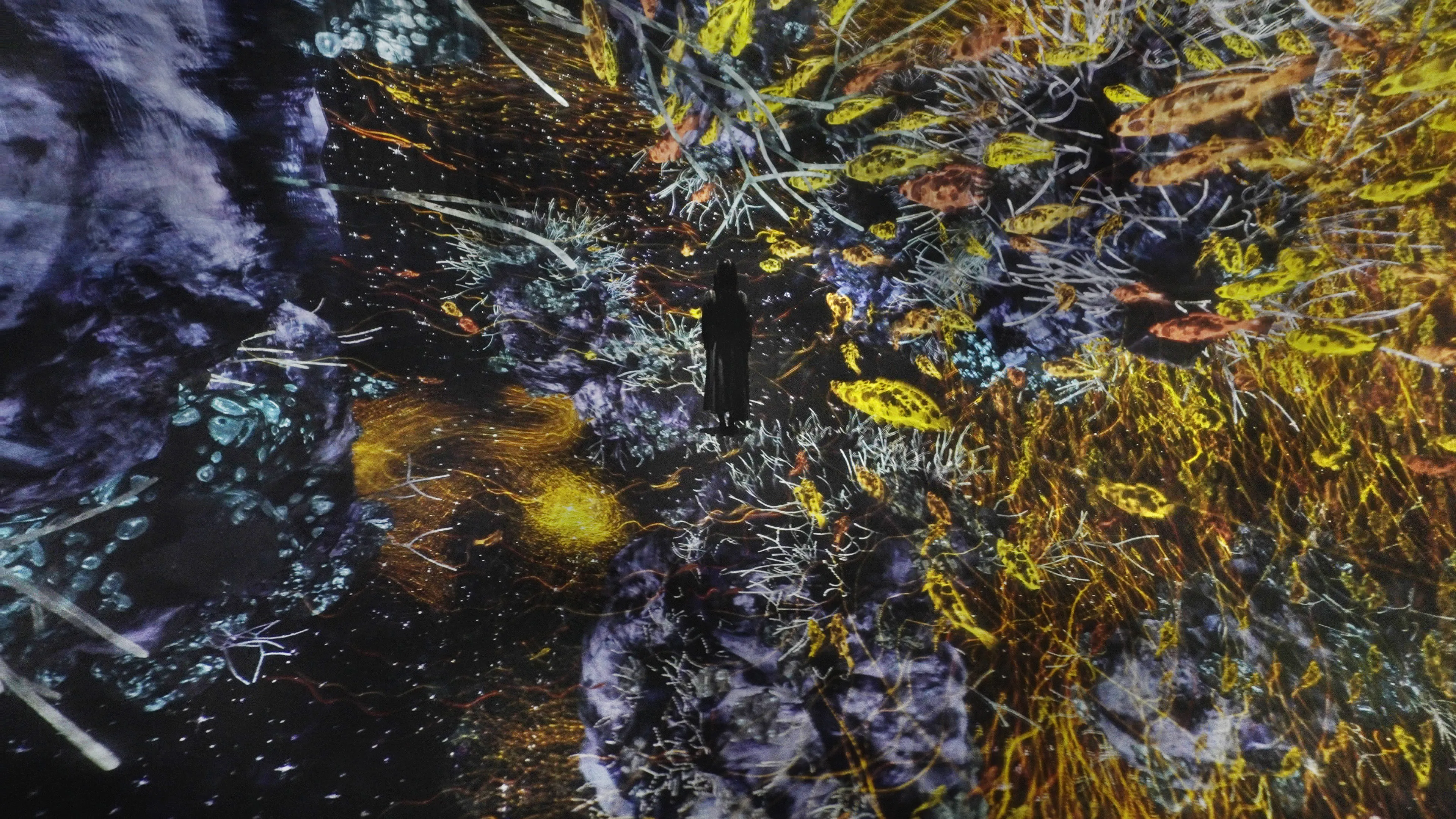 The Way of the Sea: Cosmic Void | teamLab