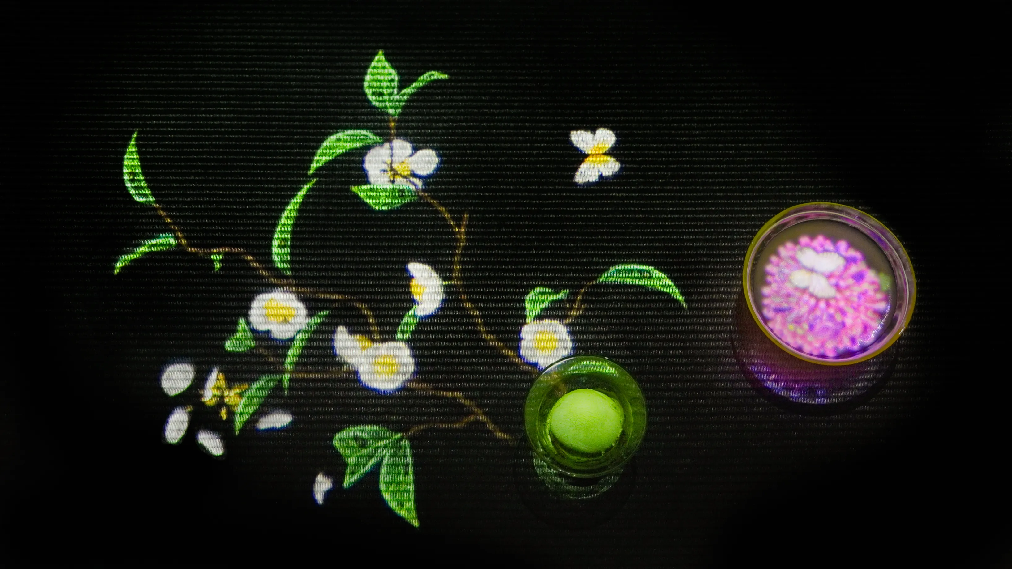Tea Tree | teamLab