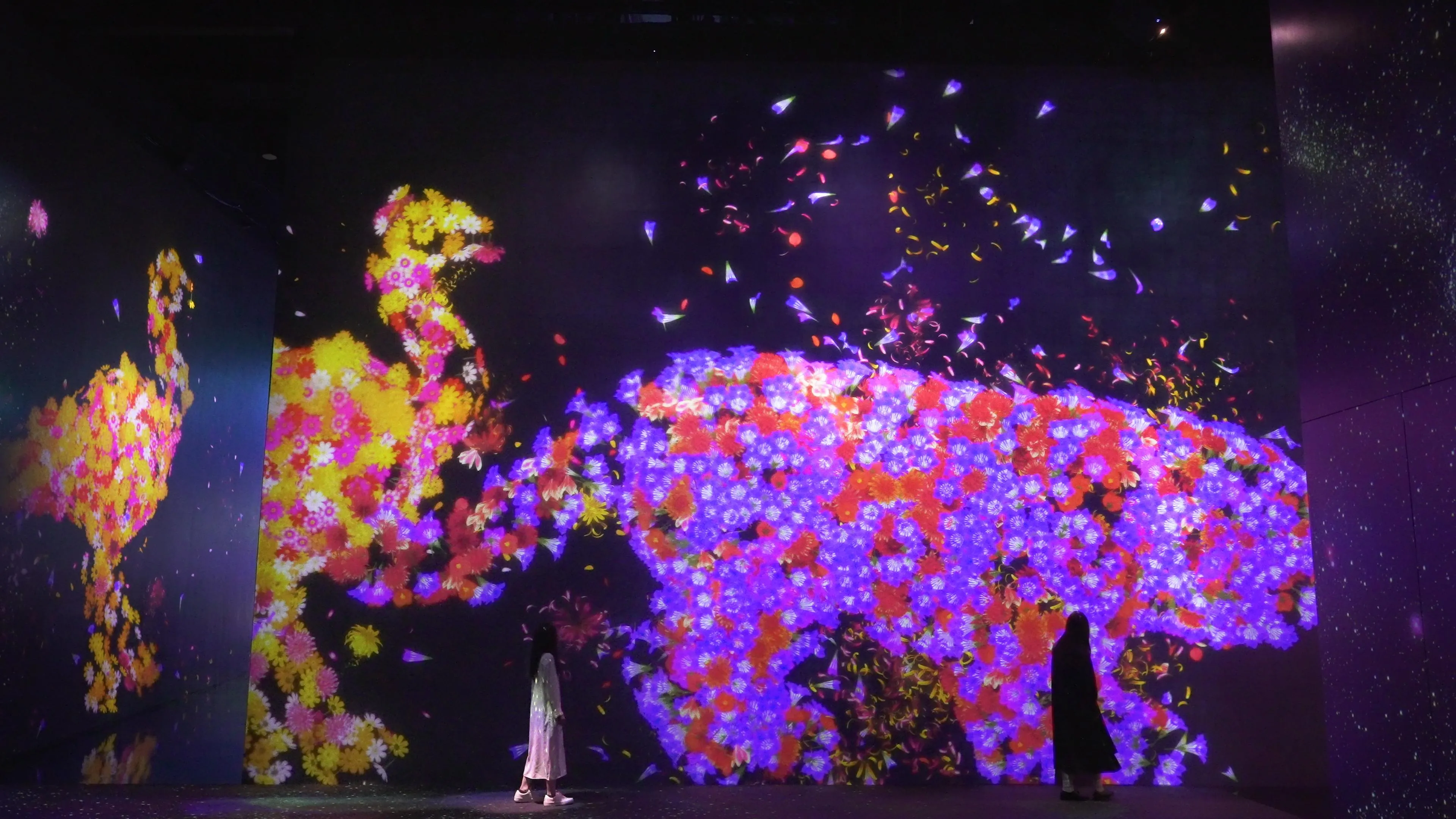 与花共生的动物们 ── 年复一年 / Animals of Flowers, Symbiotic Lives - A Whole Year ...