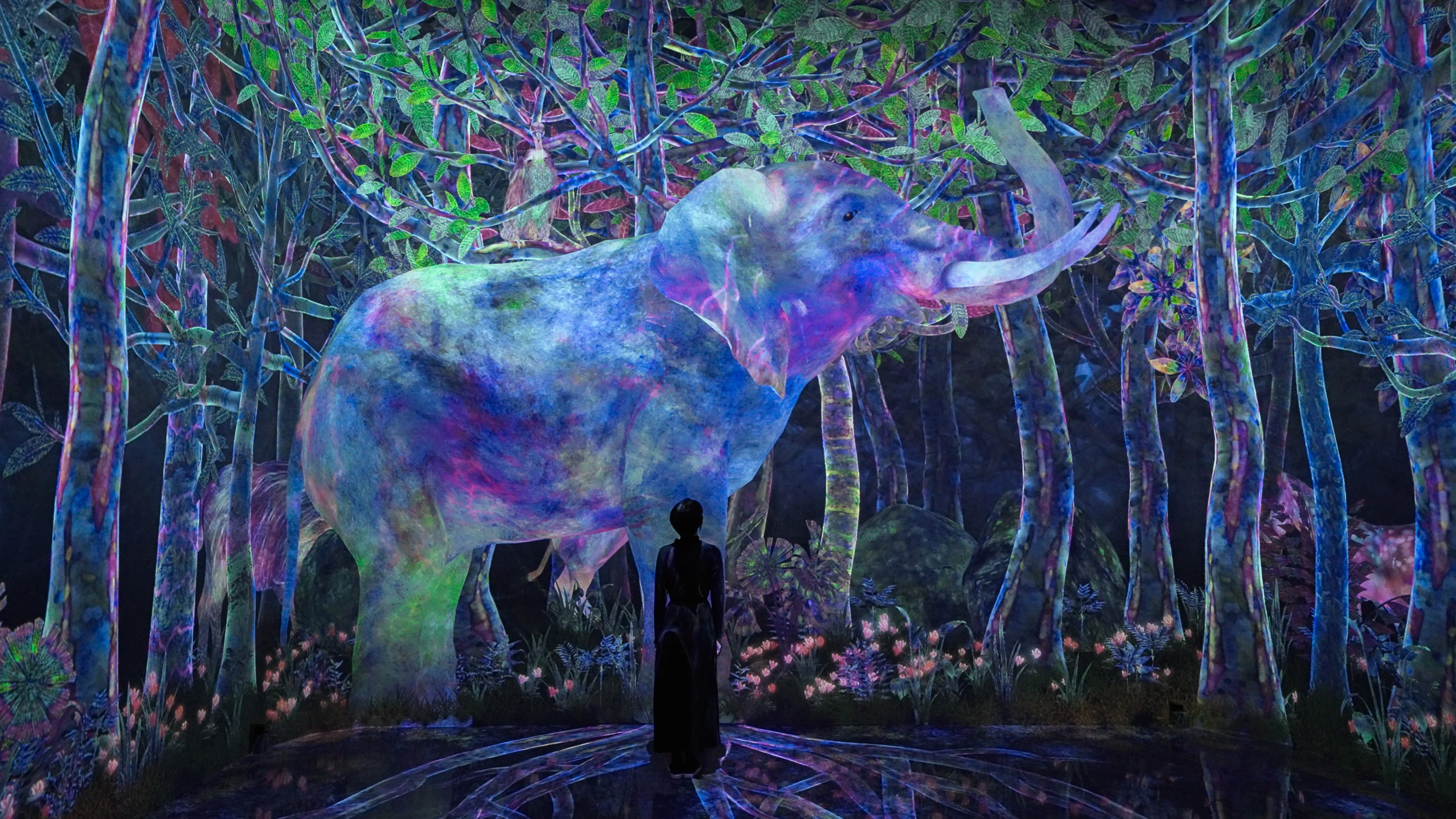 Catching and Collecting Extinct Forest | teamLab