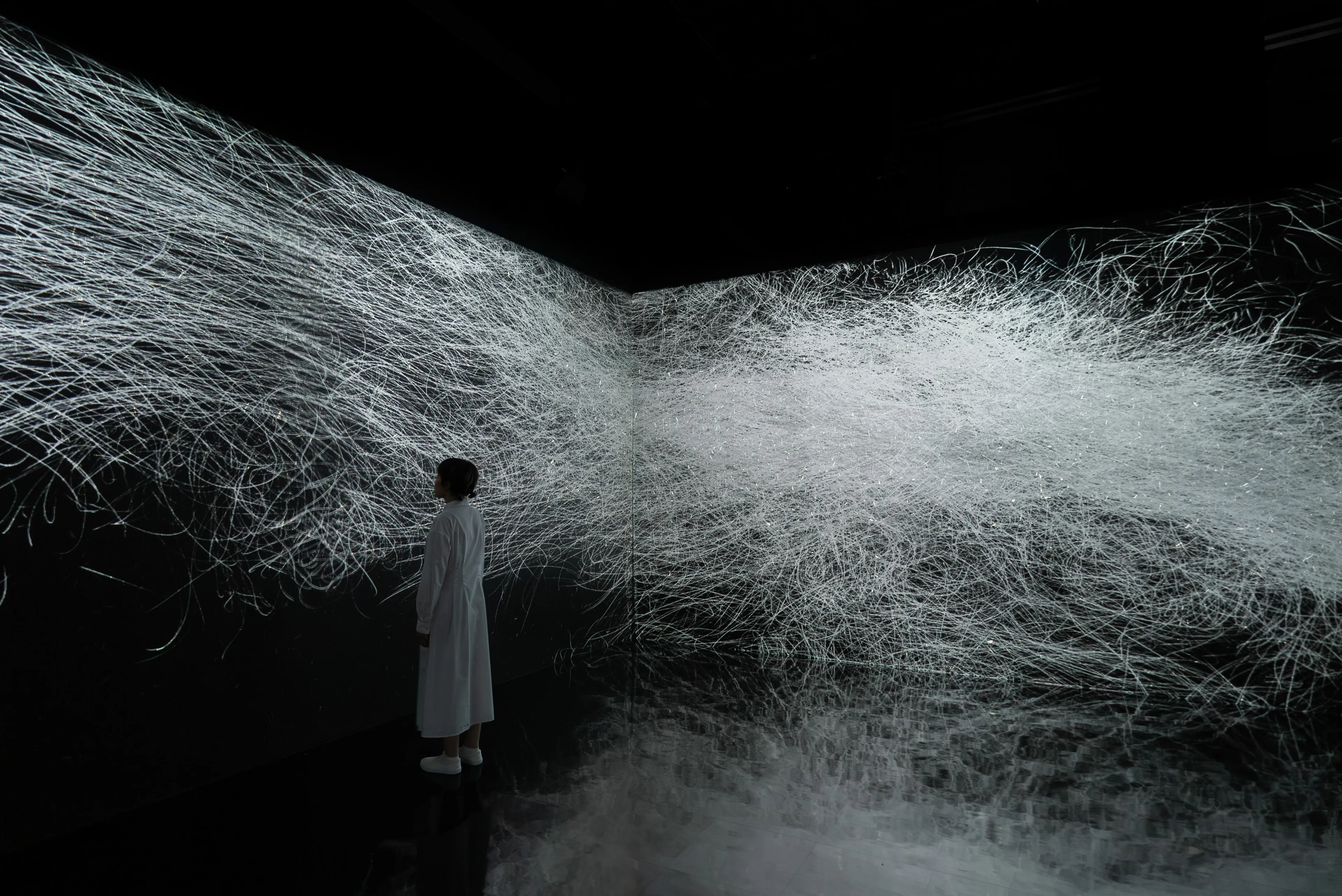teamLab: Existence in an Infinite Continuity | teamLab