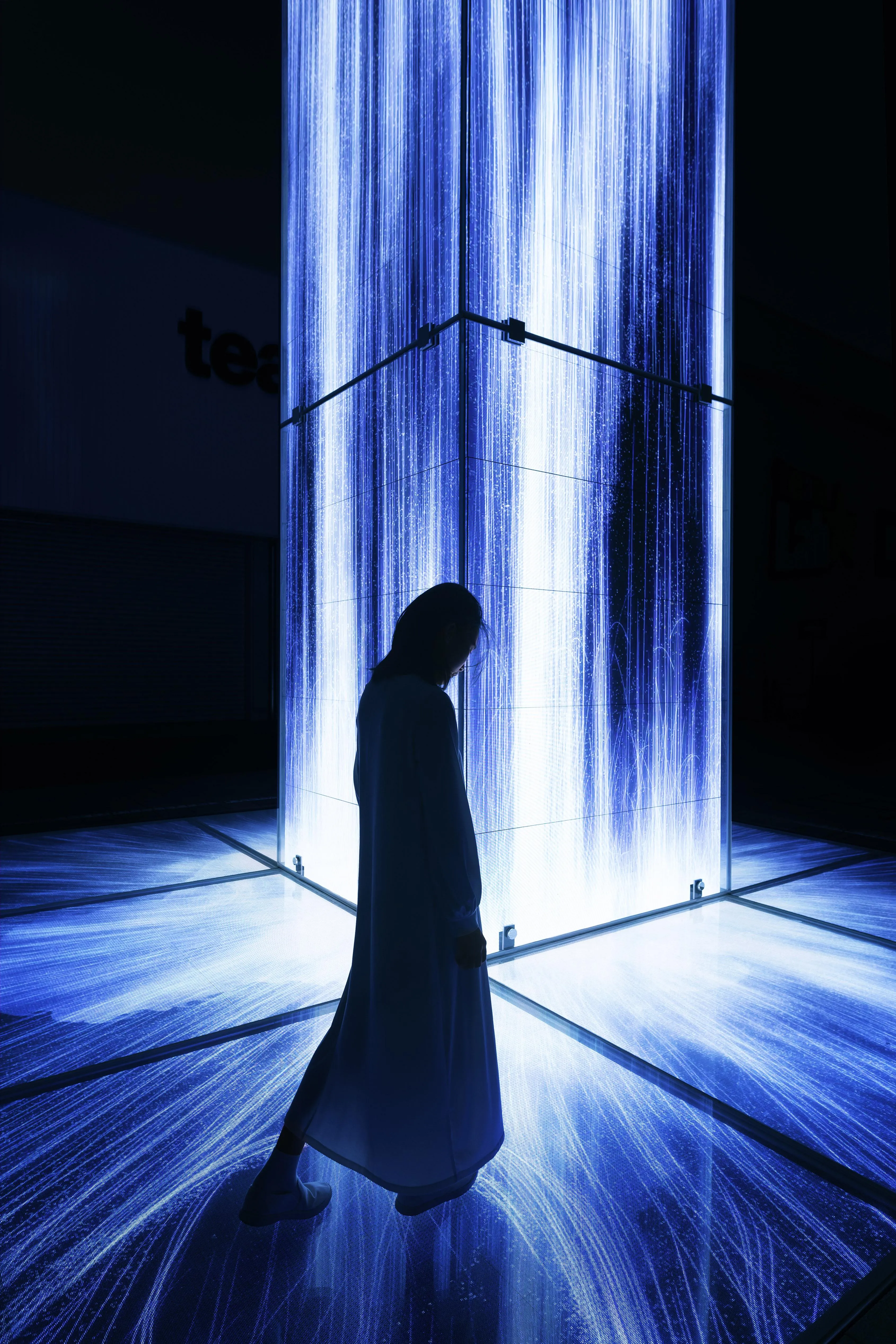 从天而降的水粒子世界 / Universe of Water Particles Falling from the Sky | teamLab