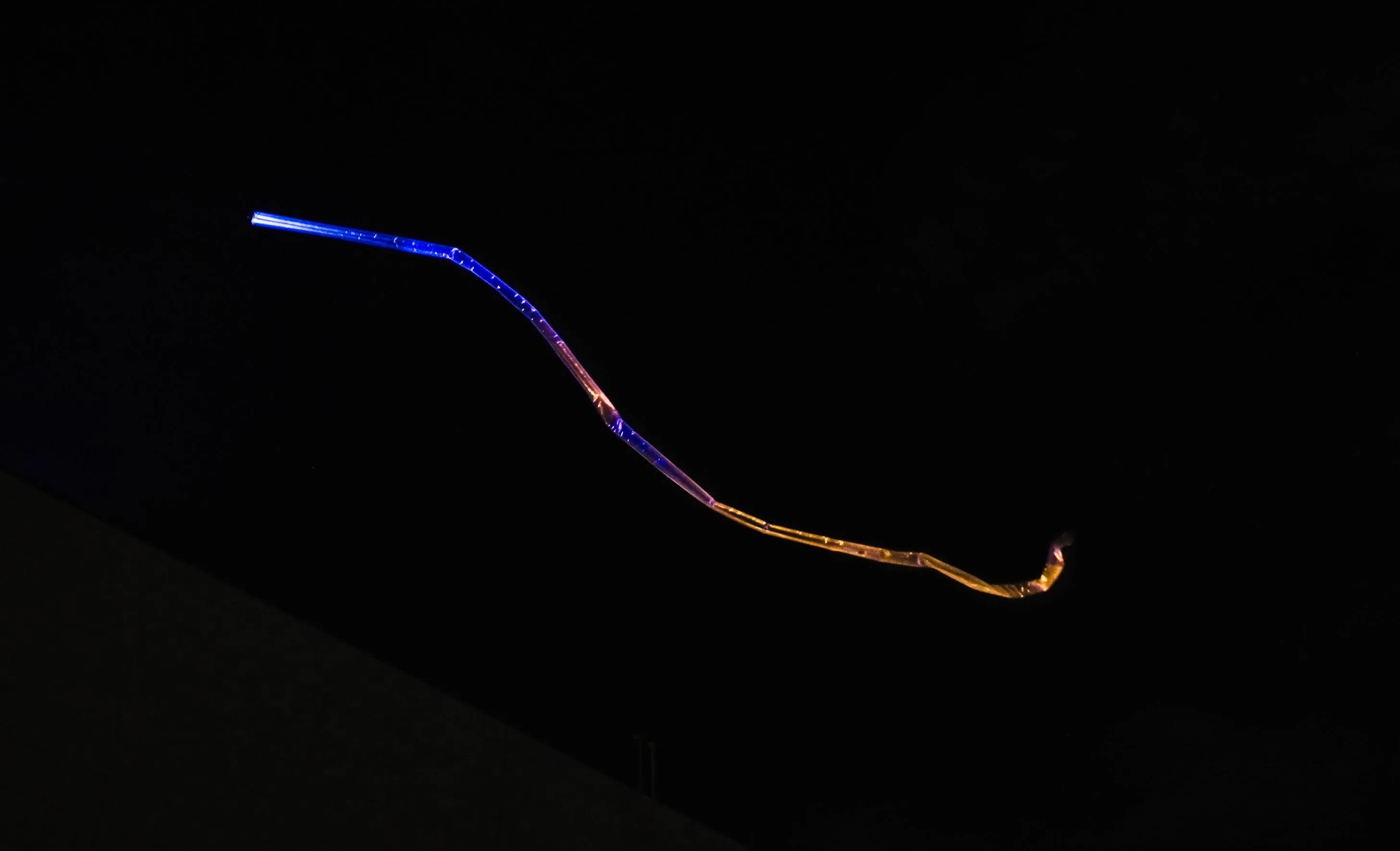 Spatial Calligraphy of Light and Wind | teamLab
