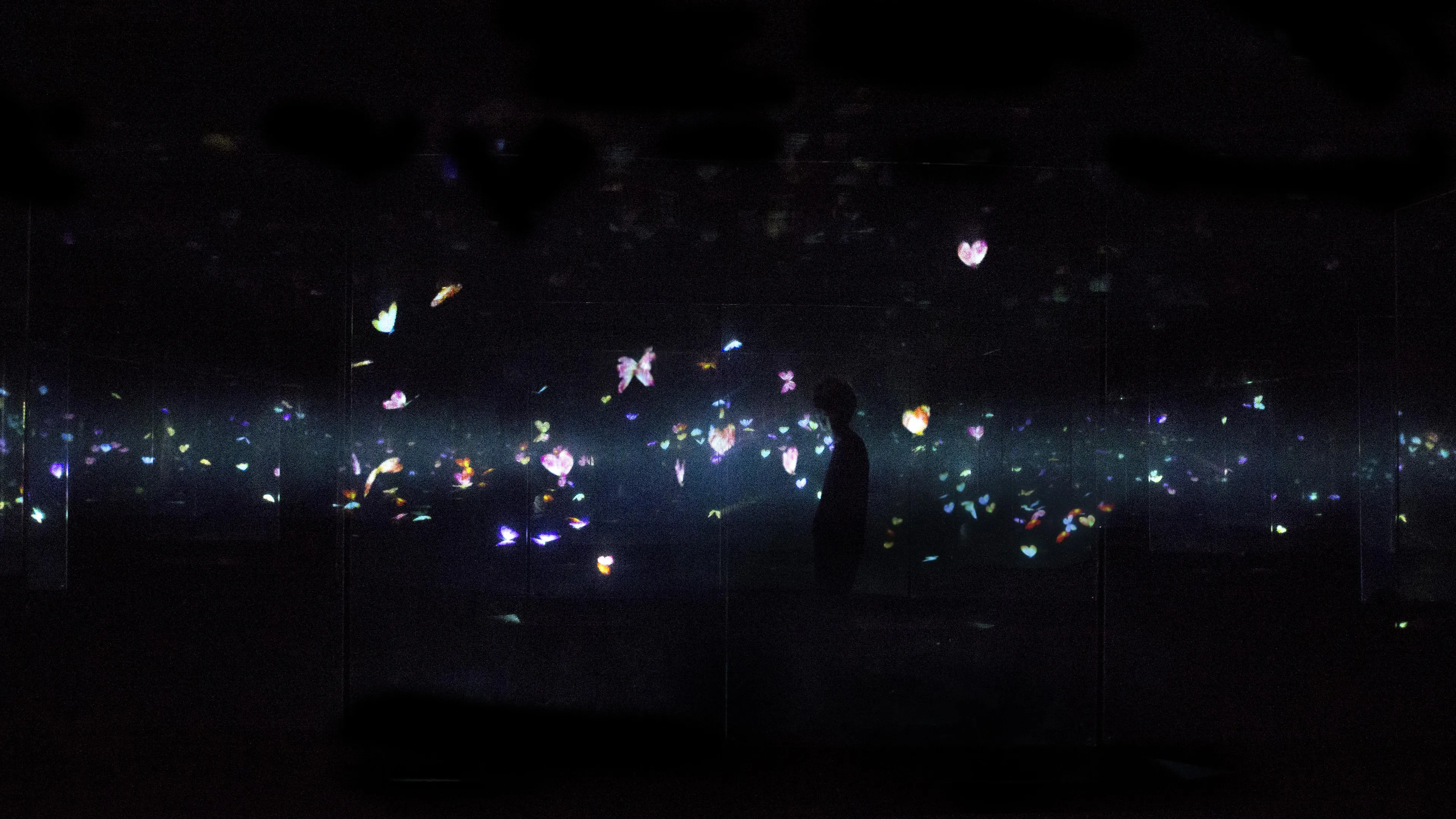 teamLab Borderless 东京 官方网站: 森大厦数字艺术美术馆：teamLab无界（MORI Building DIGITAL ...