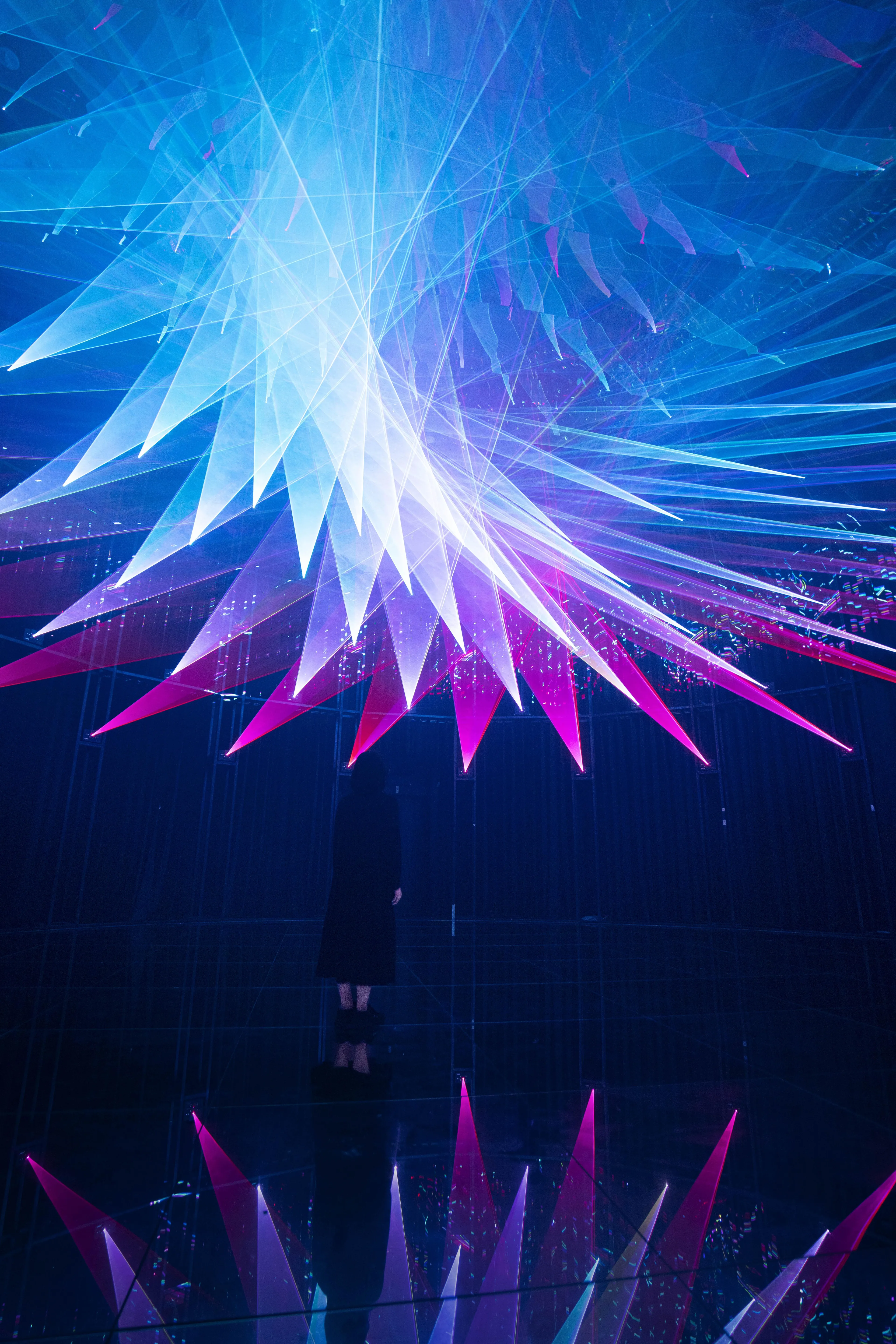 波纹 / Moire | teamLab