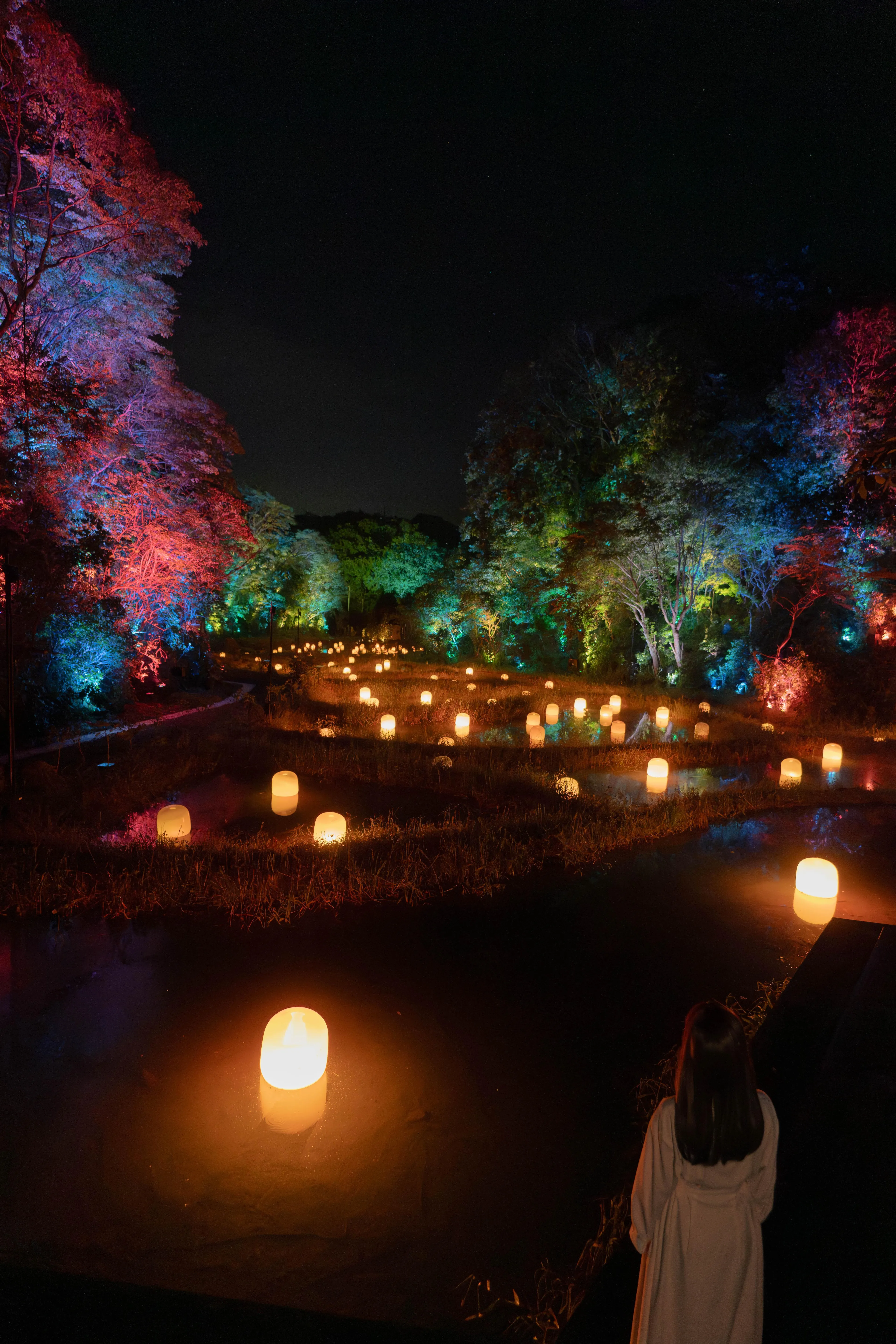 Hidden Traces of Rice Terraces | teamLab